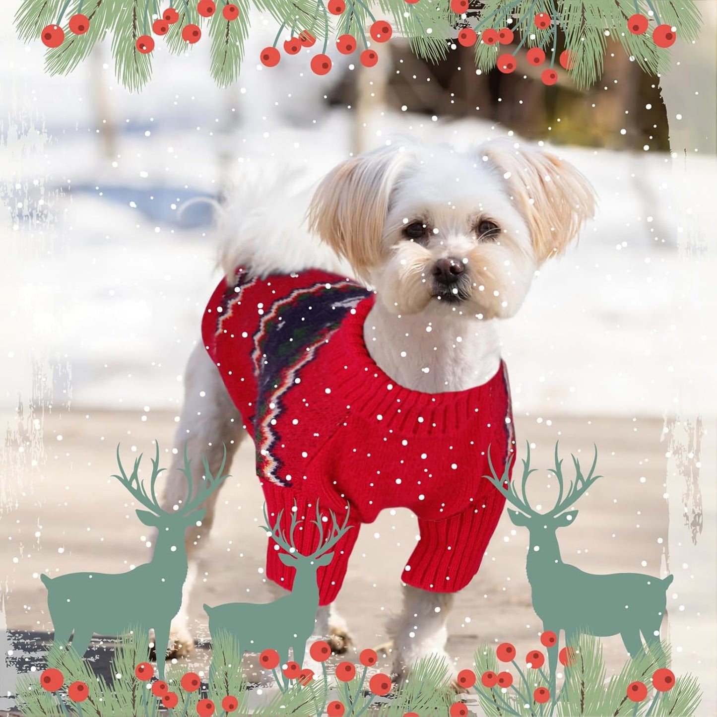 Queenmore Christmas Dog Sweater,Knitted Pullover Christmas Clothes for Dogs,Turtleneck Doggy Christmas Outfit, Warm Dog Sweaters for Small Dogs Boys or Girls XL
