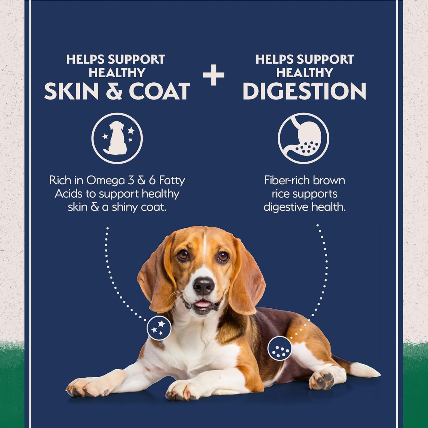 Natural Balance Limited Ingredient Adult Dry Dog Food with Healthy Grains, Lamb & Brown Rice Recipe, 12 Pound (Pack of 1)