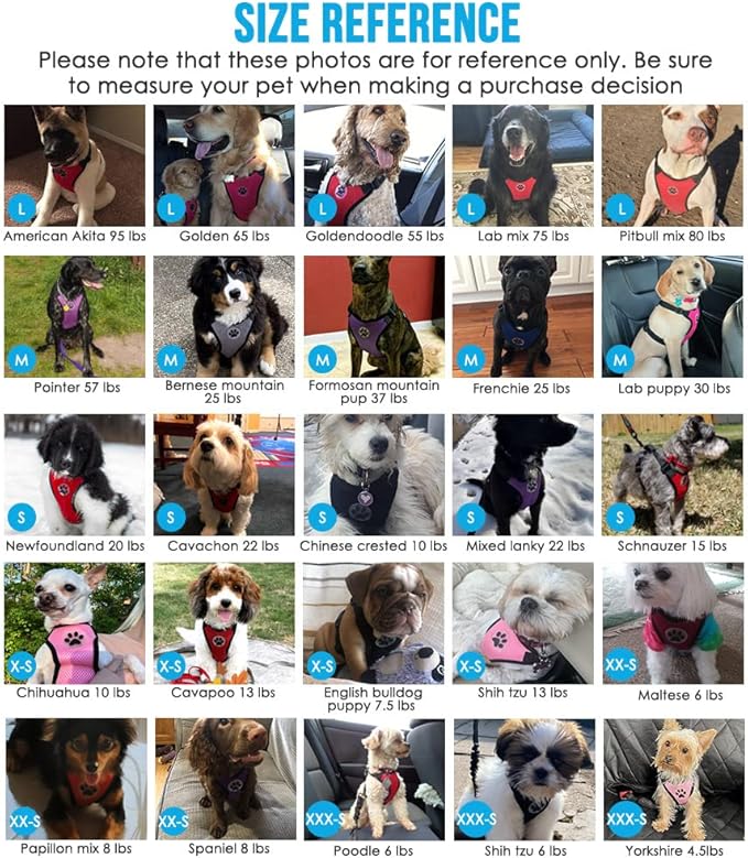 Lukovee Dog Seat Belt for Car, Adjustable Dog Car Harness for Large Medium Small Dogs, Soft Padded & Breathable Mesh Dog Seatbelt with Car Strap and Carabiner(Rose Double Clip,Medium)