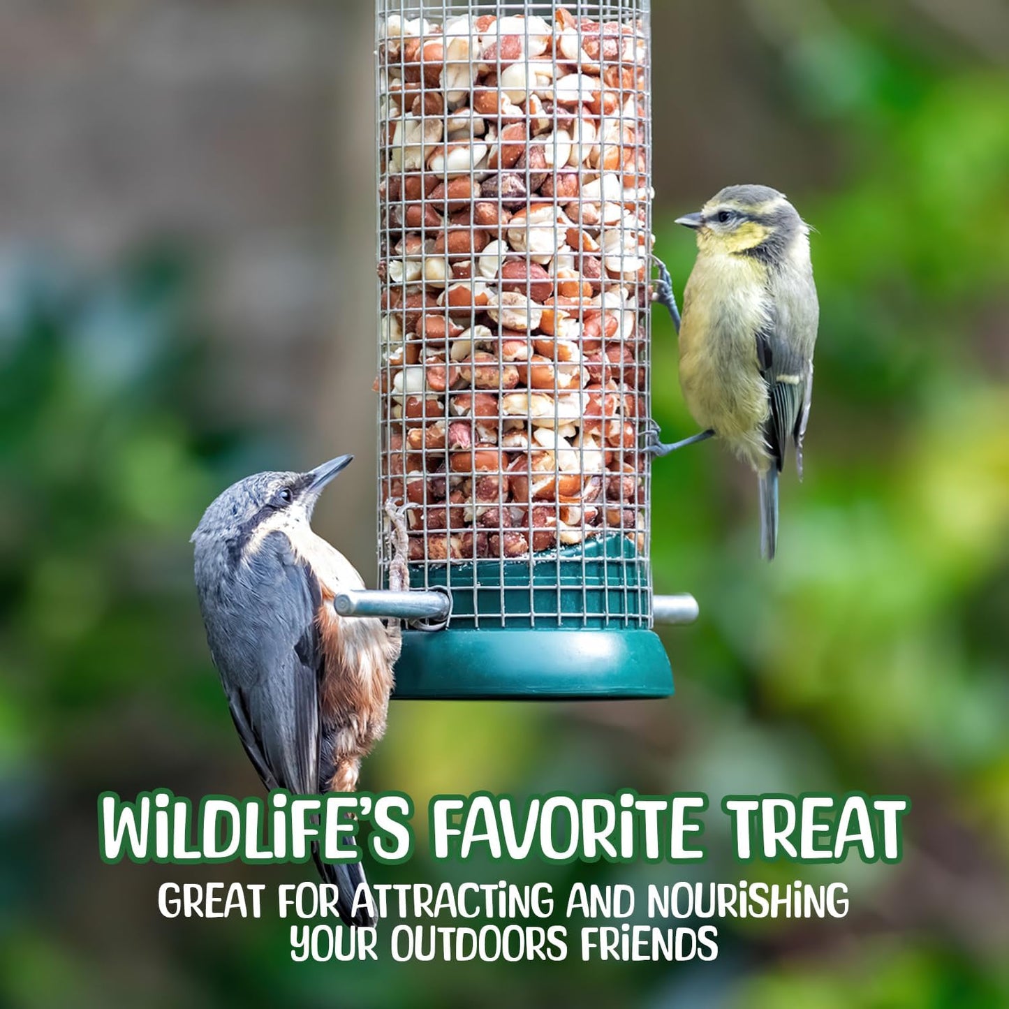 Premium Quality- 25 Pound Raw Peanuts in Shell – All-Natural Food for Squirrels, Deer, Birds, and Other Wildlife Animals – Bulk Wholesale Bag – Grown in The USA for Healthy Nutrition