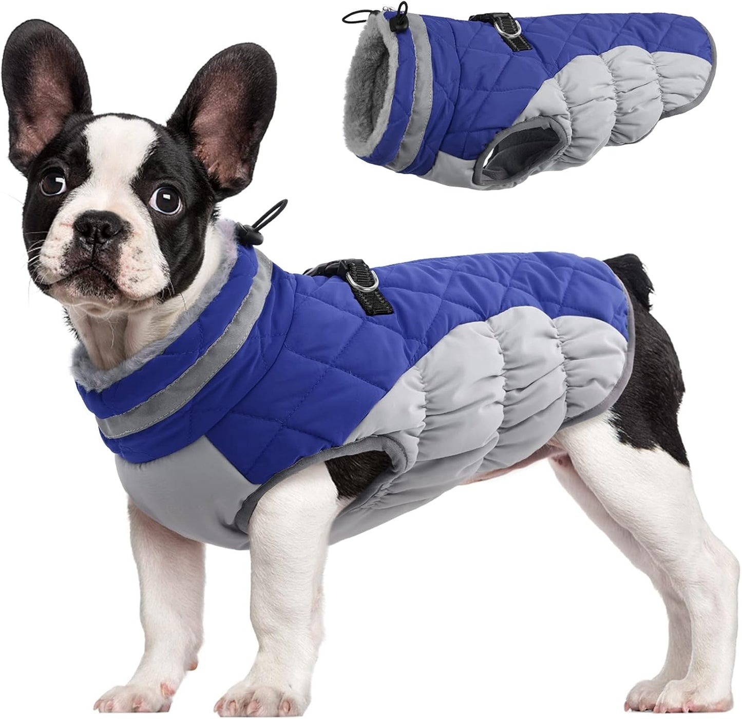 FUAMEY Dog Coat for Small Dogs,Waterproof Dog Winter Jacket with Harness Built in Puppy Cold Weather Coats Reflective Pet Vest with Zipper Warm Fleece Dogs Snowsuit Windproof Blue XS