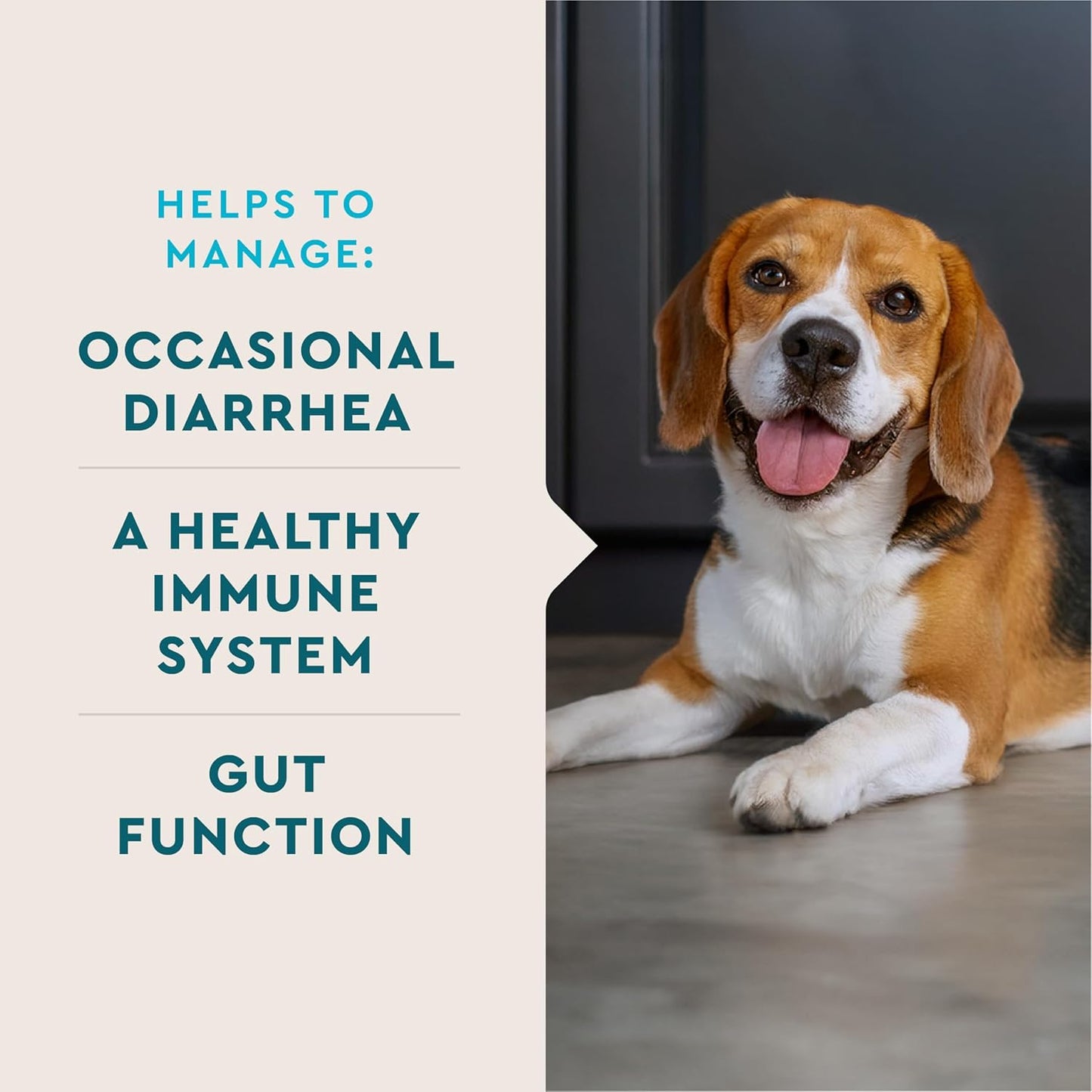 VetIQ Probiotic Powder for Dogs, Treats Diarrhea, Digestive Issues, and Food Sensitivity, Chicken Flavored Single Serve Packets, 30 Count