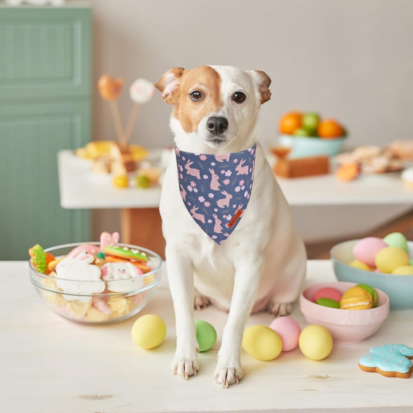 ADOGGYGO Easter Dog Bandanas, Reversible Bunny Floral Pet Scarf, Multi Size Offered, Rabbit Easter Bandana for Medium Large Dogs Pets (Large)