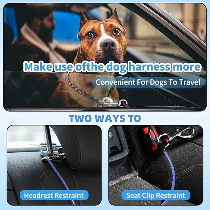 Dog Seat Belt Harness for Car,2pcs Dog Seatbelt of Coated Wire Leash Safety Restraint,No Chew Tether Cable Vehicle Dogs Accessories,Double Clips & Latch (Blue, 24 inch/60 CM)