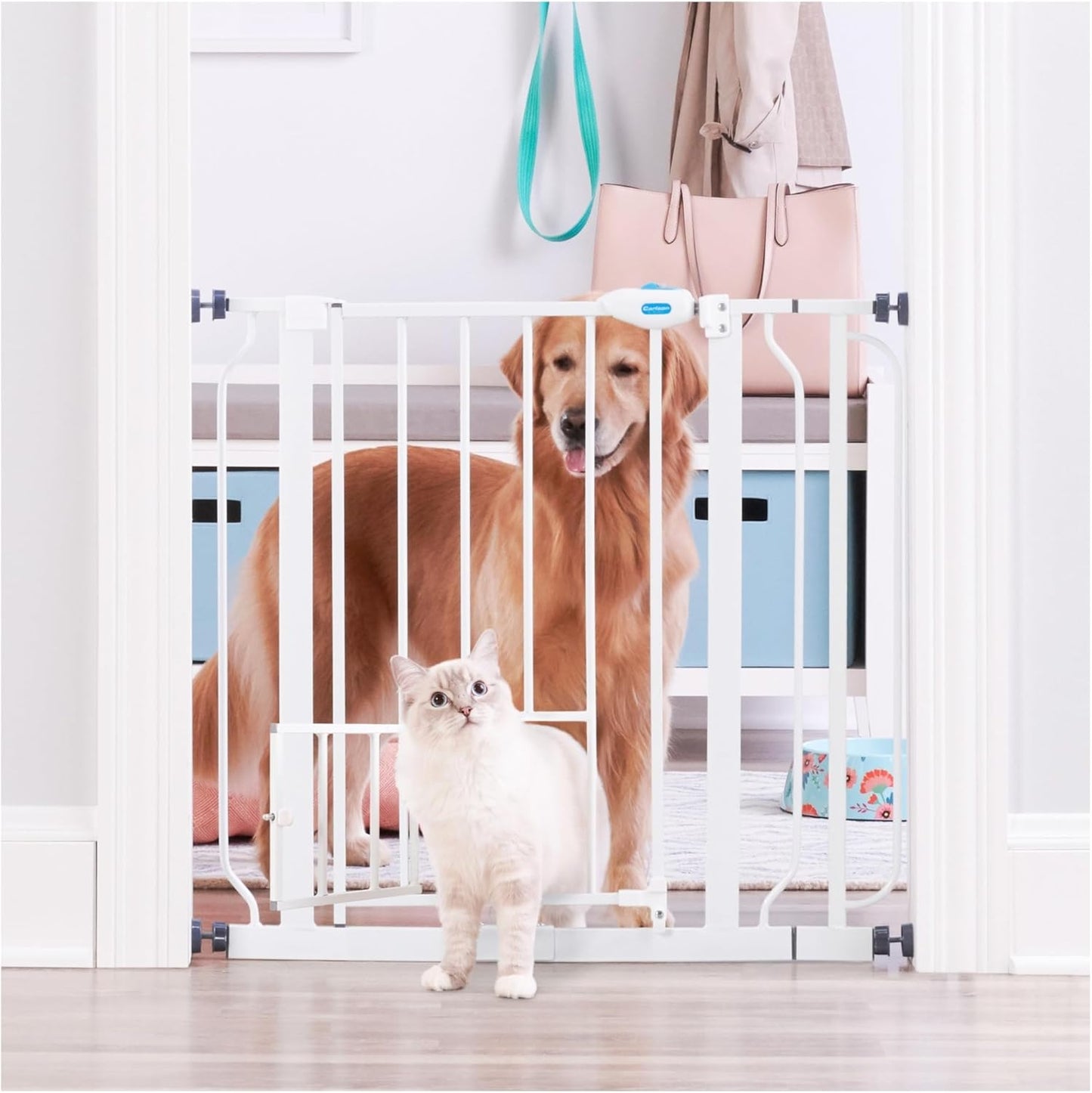 Carlson Extra Wide Walk Through Pet Gate with Small Pet Door, Includes 4-Inch Extension Kit, Pressure Mount Kit and Wall Mount Kit,White
