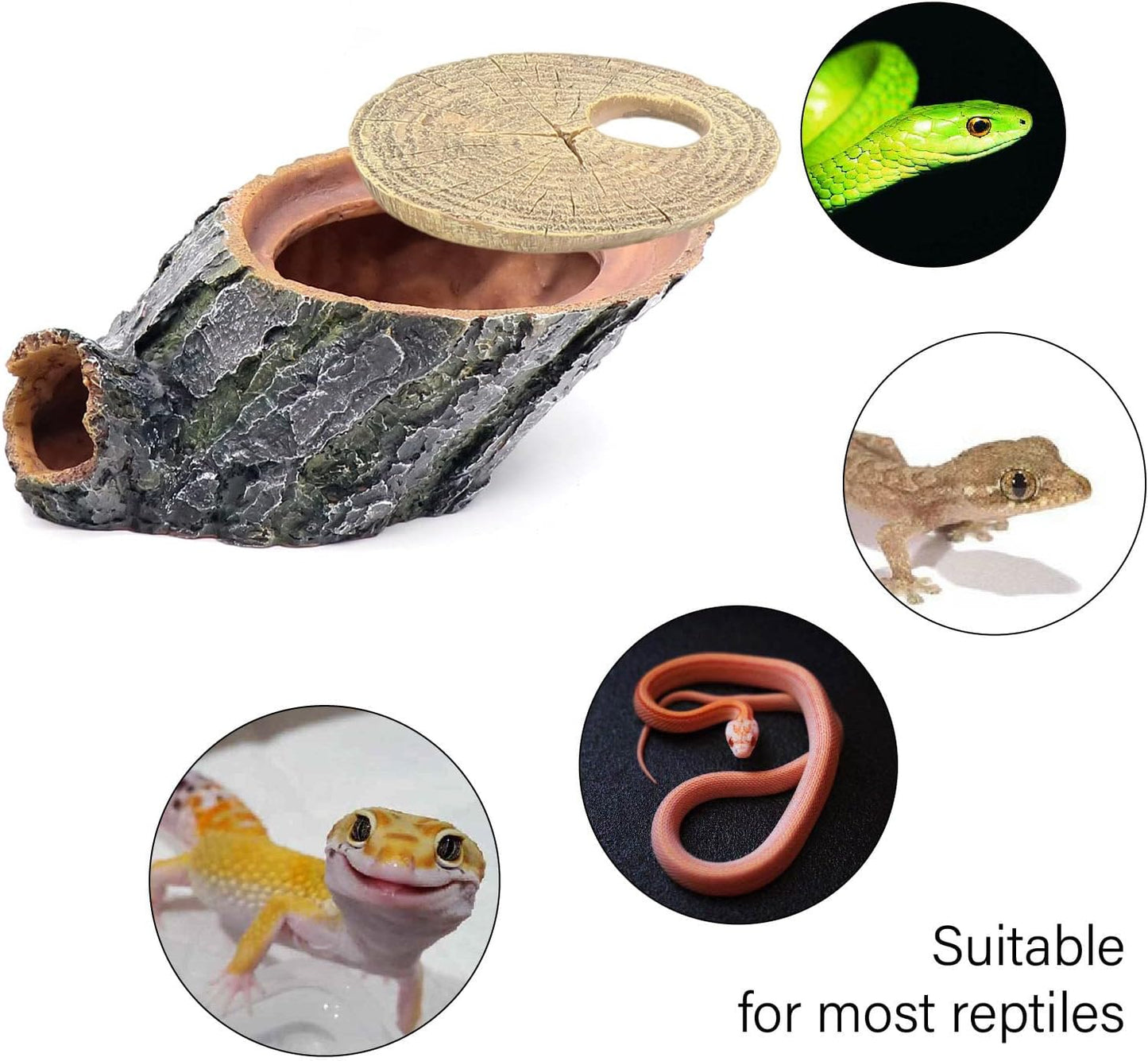 Snake Hide and Basking Tree Roots Cave for Terrariums, Available for Climbing and Hiding Spots for Reptiles, Amphibians, and Small Animals, Corn Snake, Small Gecko