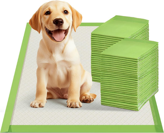 Dog Pee Pads Rugular 22"x22", Thicker ECO Green Small Disposable Puppy Training Pads Super Absorbent Full Edge-Wrapping Pad for Dogs, Puppies, Doggies, Cats-(100 Count)
