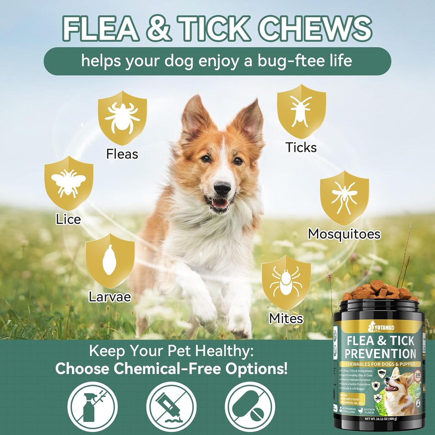 YOTANGO Flea and Tick Prevention for Dogs Chewable, 200 Soft Treats Natural Dog Flea and Tick Treatment Chewable, Oral Flea Supplement Chews, Skin & Coat Support for Dogs Puppies - All Breeds & Ages