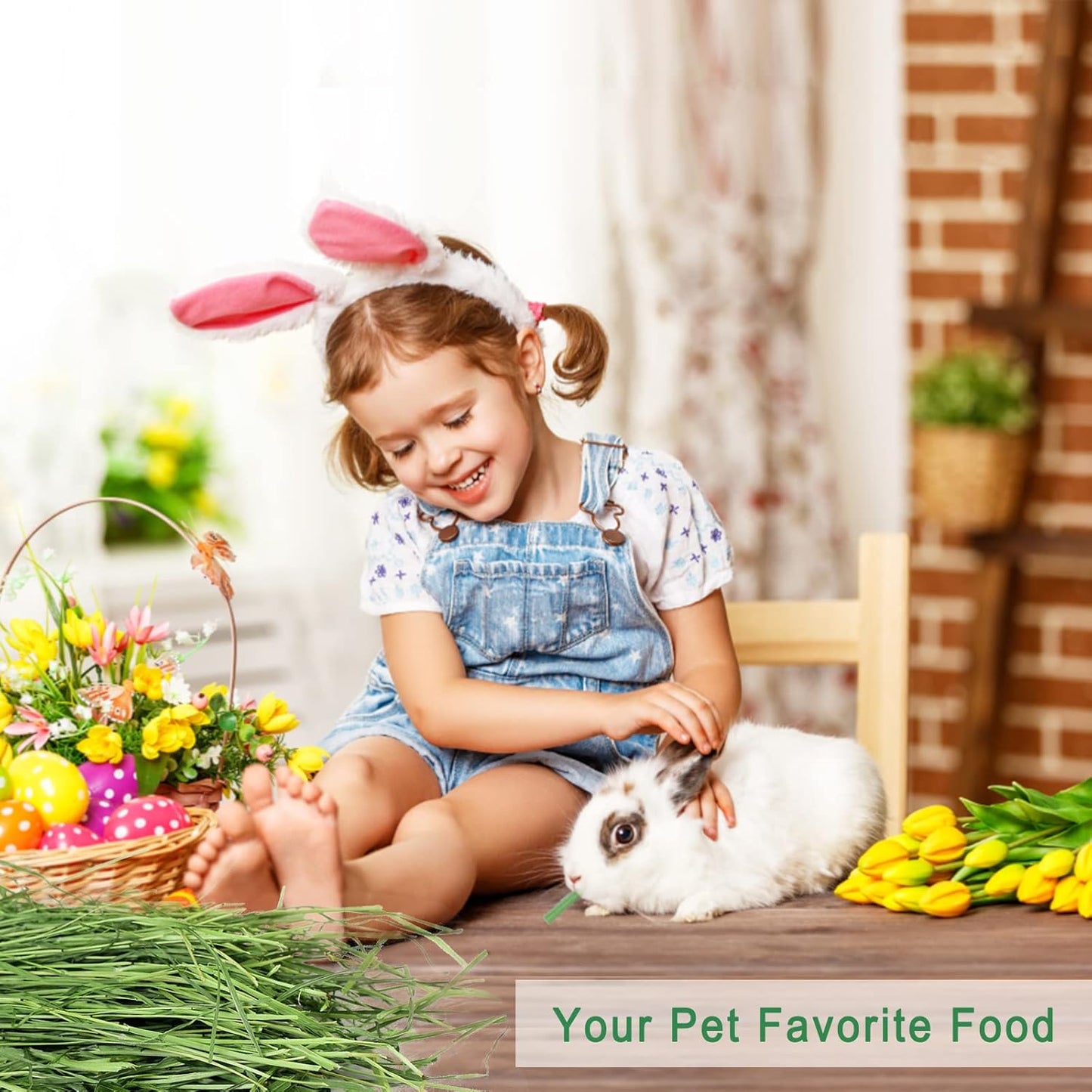 Timothy Hay Premium Hay for Rabbits Guinea Pig Chinchilla- Natural Fresh Hay Hand Selected 6.6LBS (1.1lbs, 6 Pack)