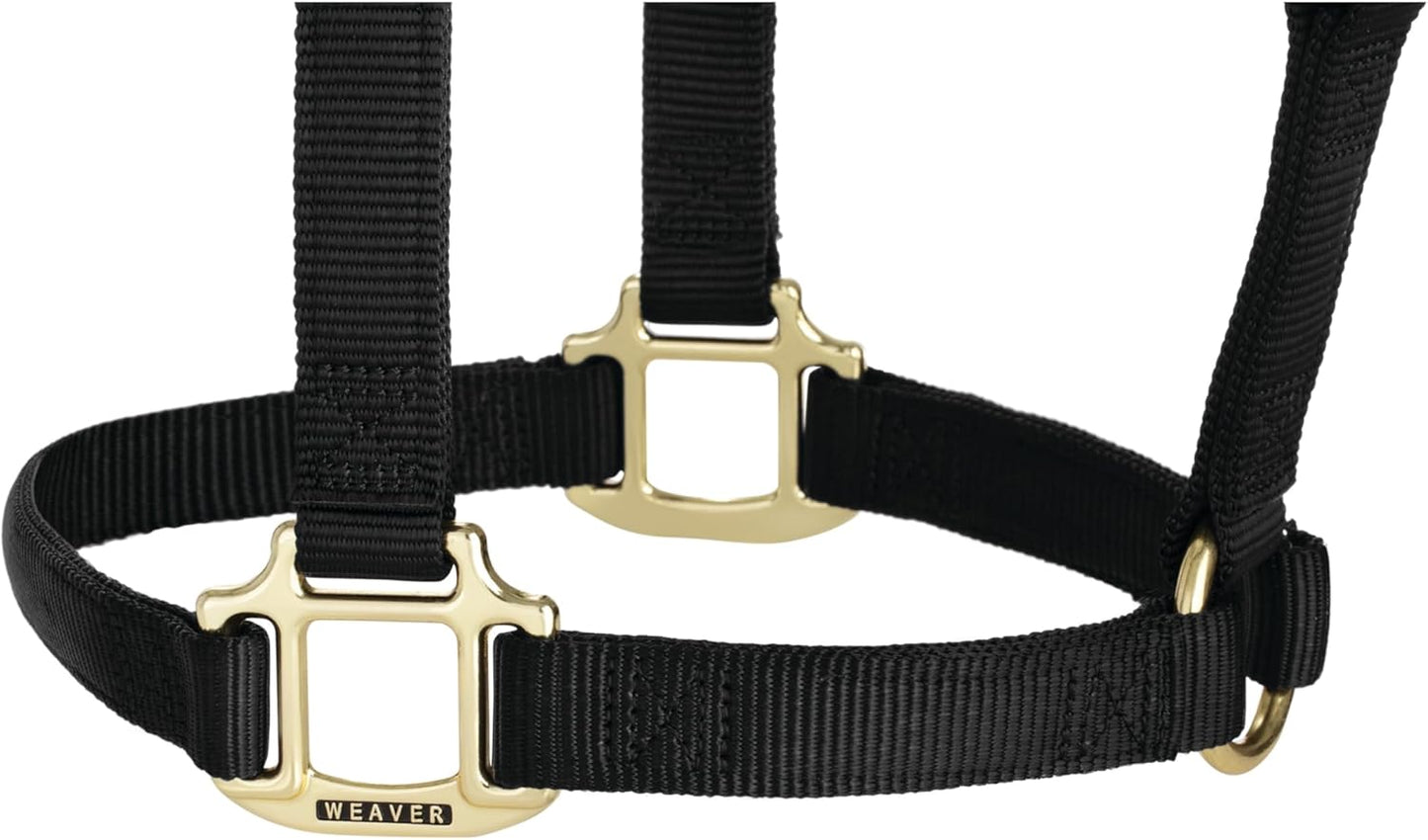 Weaver Equine Nylon Horse Halter, Triple-Ply Cheek Design, Original Non Adjustable Halters for Horses, Equine Tack,Average Size, Black