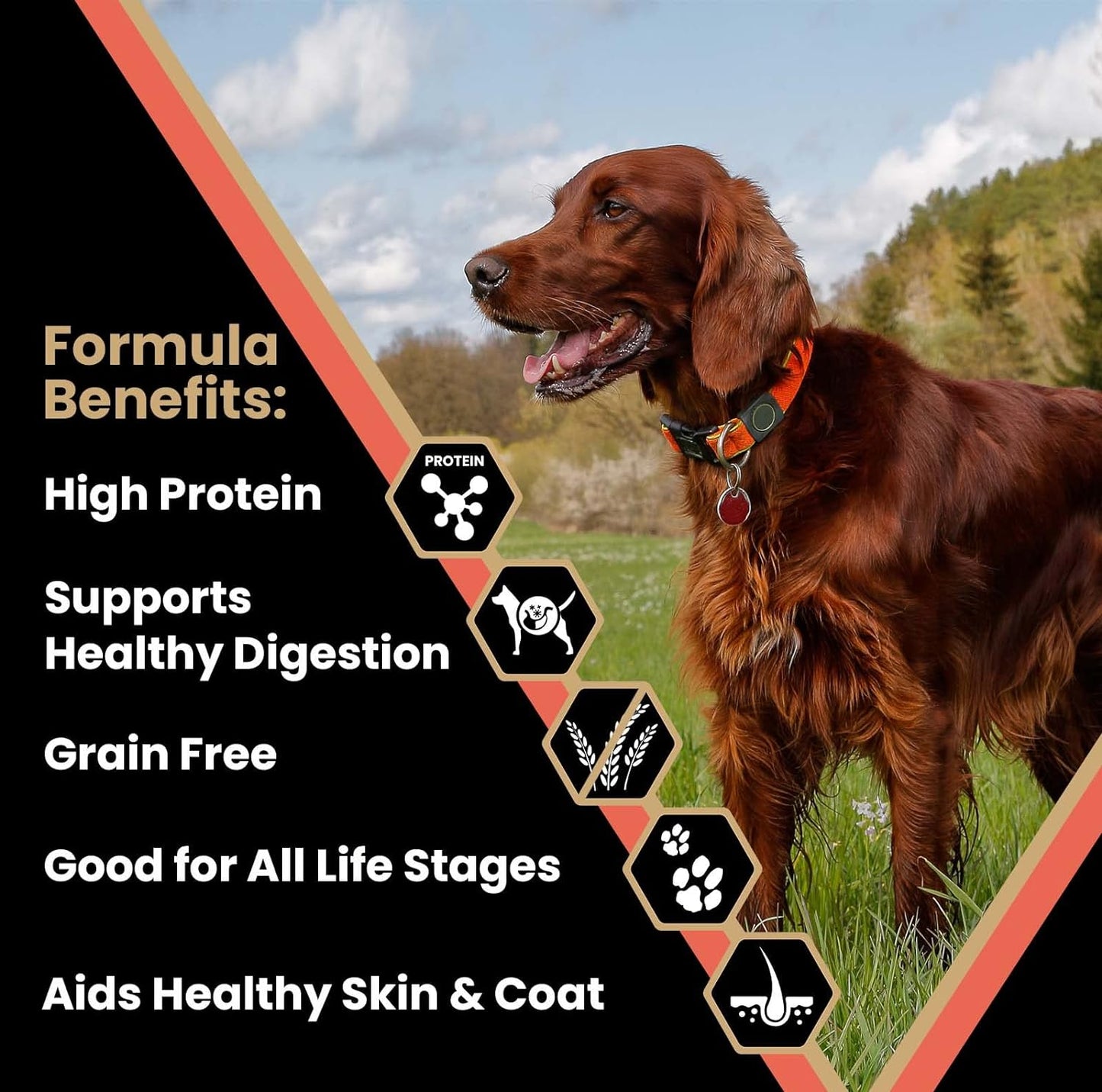 VICTOR Super Premium Dog Food – Grain Free Yukon River Canine – Supports Immune & Digestive Health for Dogs of All Life Stages – High Protein Dry Dog Food for All Normally Active Dogs, 30 lb