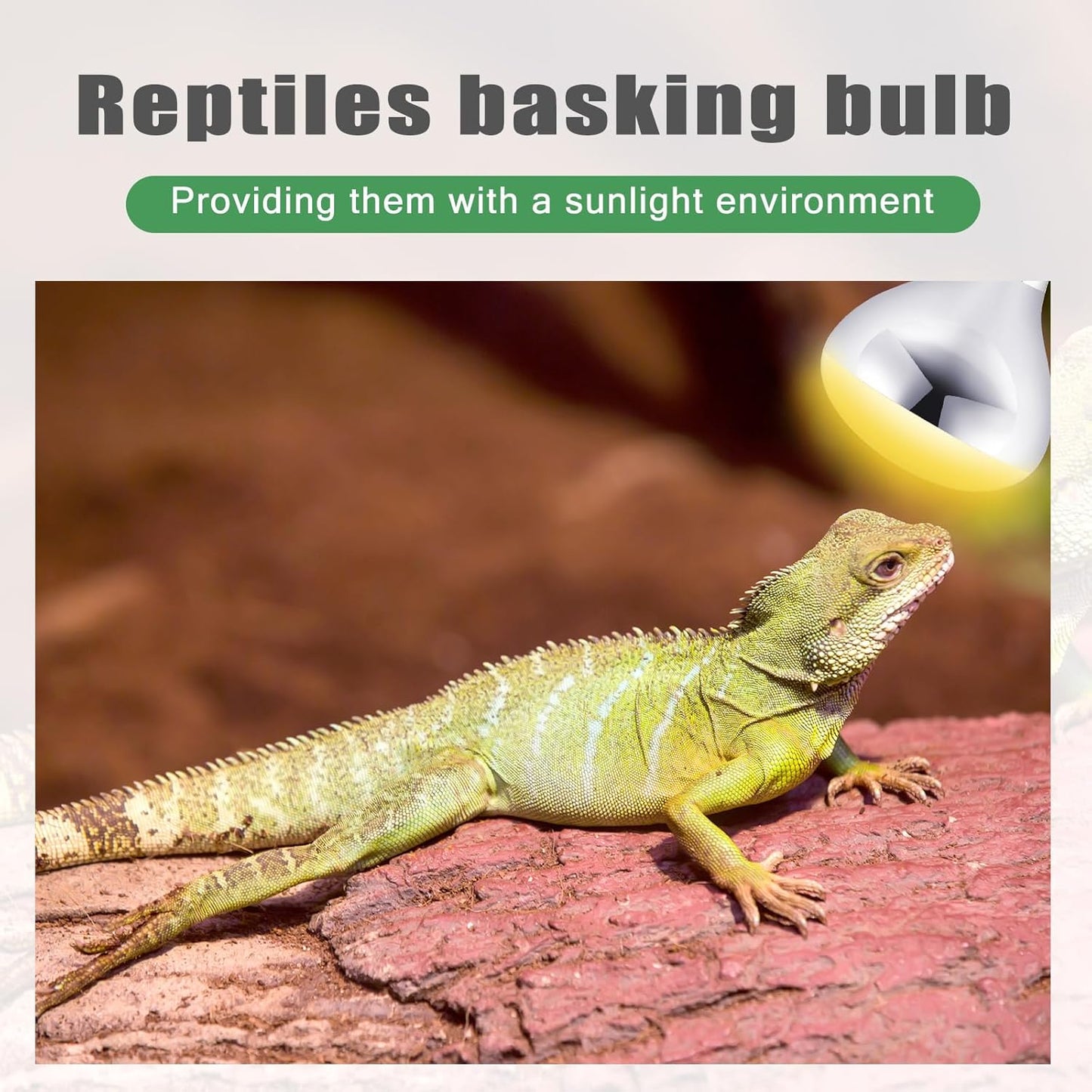 VIHOSE 16 Pack 250 Watt Heat Lamp 120v R40 Heat Lamp Bulbs Glass Incandescent Light Bulbs Incandescent Heating Lightbulbs for Reptiles Chicks Food Puppies Bathroom, Use E26 Base (Silver)