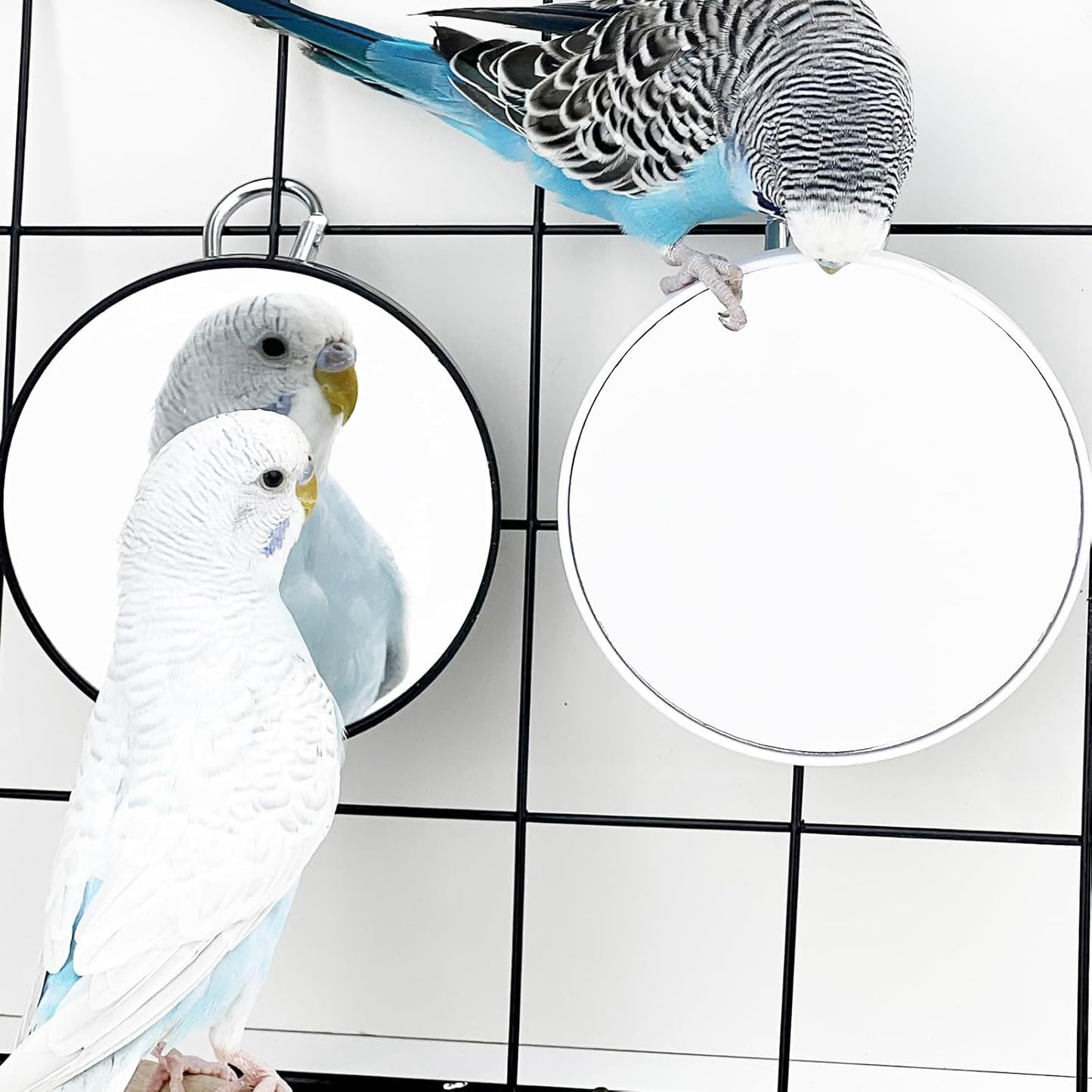 FlidRunest 2PCS Bird Mirror Toy for Cage, 10X Bird Parrot Interactive Playing Cage Toy with Hook, Parrot Toy Bird Cage Mirror for Cockatiel, Parakeets, Lovebirds, Finch, Canaries, Budgie
