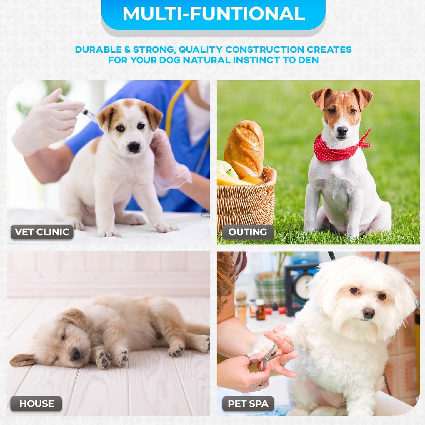 FDW Dog Crate for Small Dogs 24 Inch Folding Metal WirePet Cage Double Door W/Divider Panel Indoor Outdoor Kennel Leak-Proof Plastic Tray,Blue