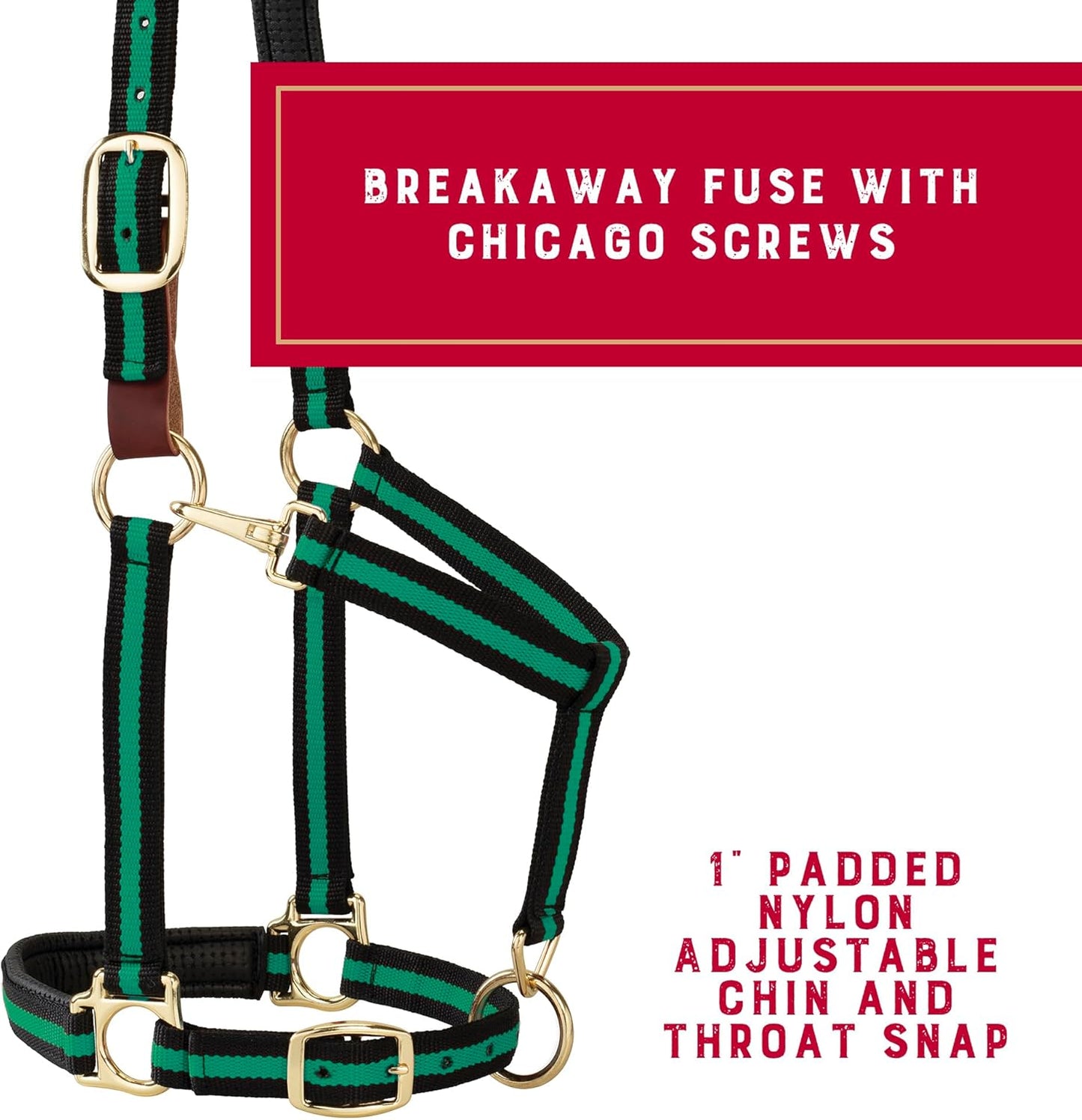 Weaver Equine Breakaway Horse Halter, Comfort Foam Padding, Adjustable Chin & Throat Snap Halters for Horses, Equine Tack,Average Size, Green