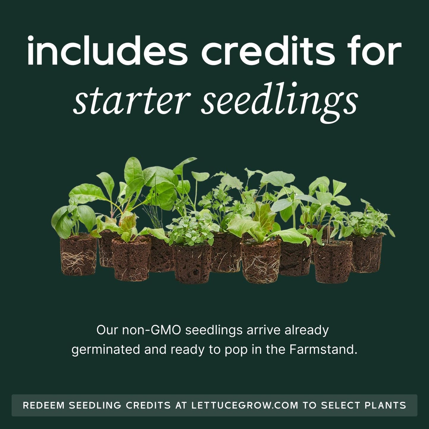 Farmstand Starter Kit with Glow Rings and 12 Seedling Credits | Tiny Hydroponic Growing System Kit | Vertical Garden Planter Tower | 3ft 8in Tall