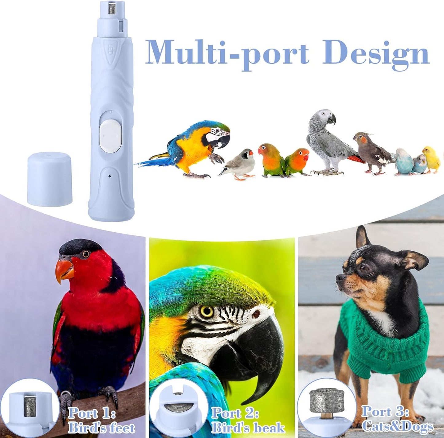 Lasnten 2 Pcs Bird Nail Grinder with Bird Nail Clipper Bird Nail Trimmer Bird Nail File with LED Lamp Grooming Tool for Bird Parrot Budgerigars Parakeets Myna Conure Parakeets Finches Lovebirds