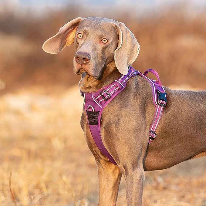 TRUE LOVE Dog Harness No Pull Nylon Reflective Pet Harness Adjustable Comfortable Control Step-in Brilliant Colors Truelove TLH56512