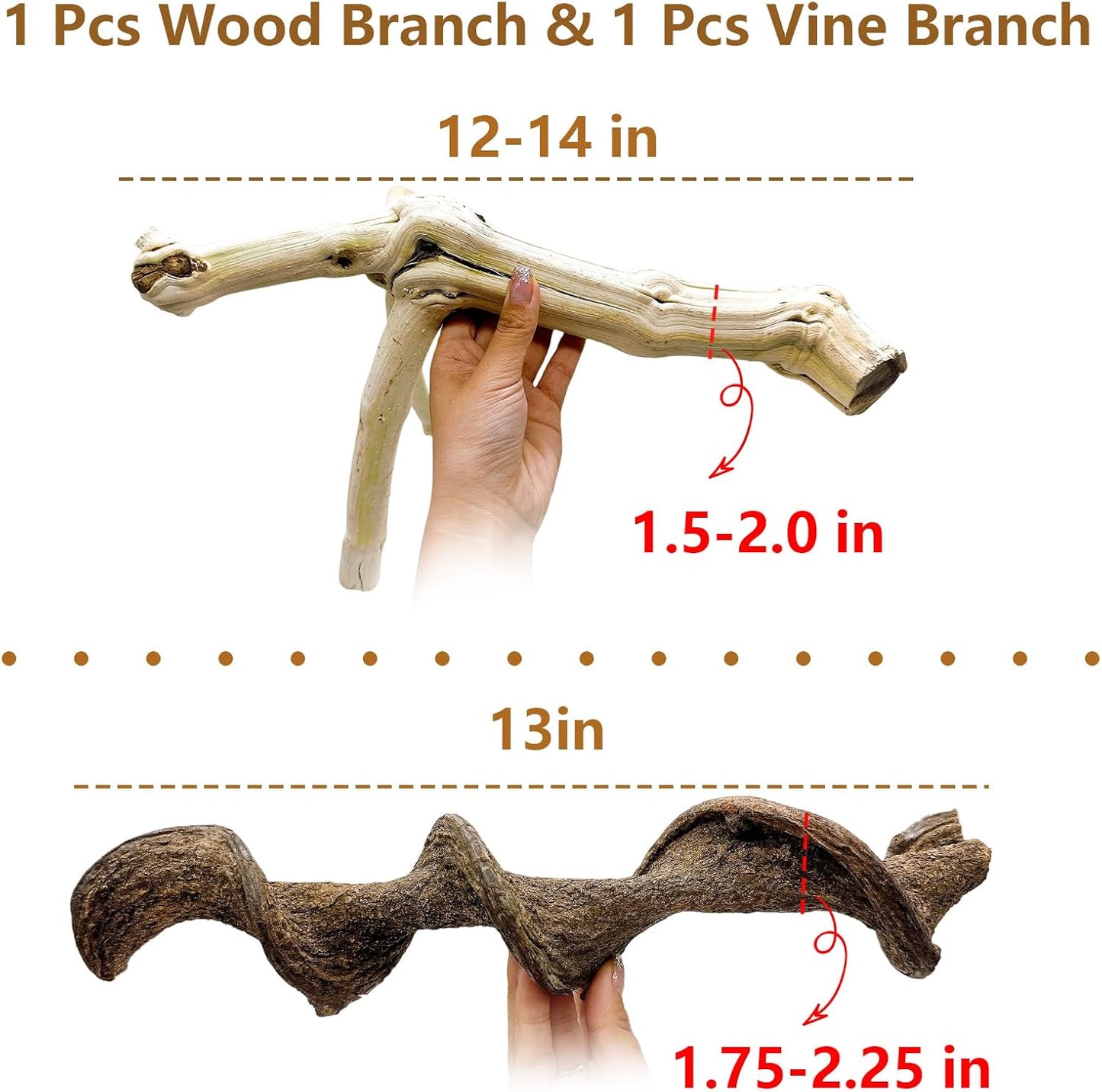 BNOSDM Reptile Branches, 12-14inch Snake Climbing Branch, Terrarium Wood Branch Decor, Bearded Dragon Tank Climbing Accessories for Lizard, Gecko, Chameleon, Frog, 2Pcs