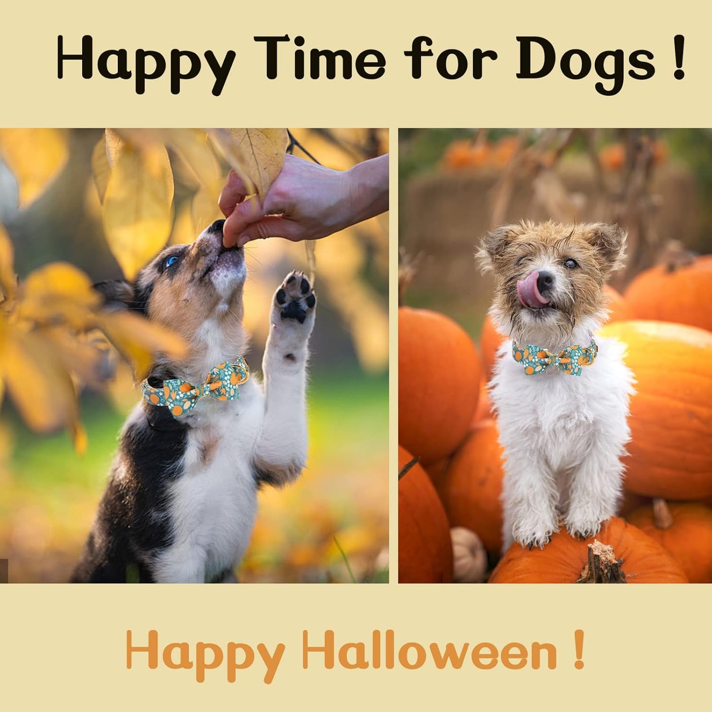 Unique style paws Halloween Dog Collar with Bow Tie Pumpkin Cotton Collar Adjustable Puppy Collar for Small Medium Large Dogs-M