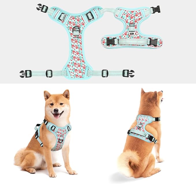 Timos Dog Harness, No-Pull Pet Harness with 2 Leash Clips, 3 Snap Buckles Adjustable Soft Padded Dog Vest, Reflective No-Choke Pet Oxford Vest with Easy Control Handle for Small Medium Large Dogs