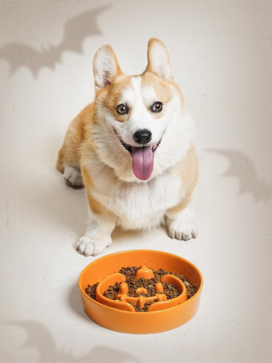 LE TAUCI Ceramic Slow Feeder Dog Bowls Small Breed, 0.6 Cups Dog Food Dish for Fast Eaters, Puzzle Bowl for Small Dogs and Cats,Pumpkin Orange