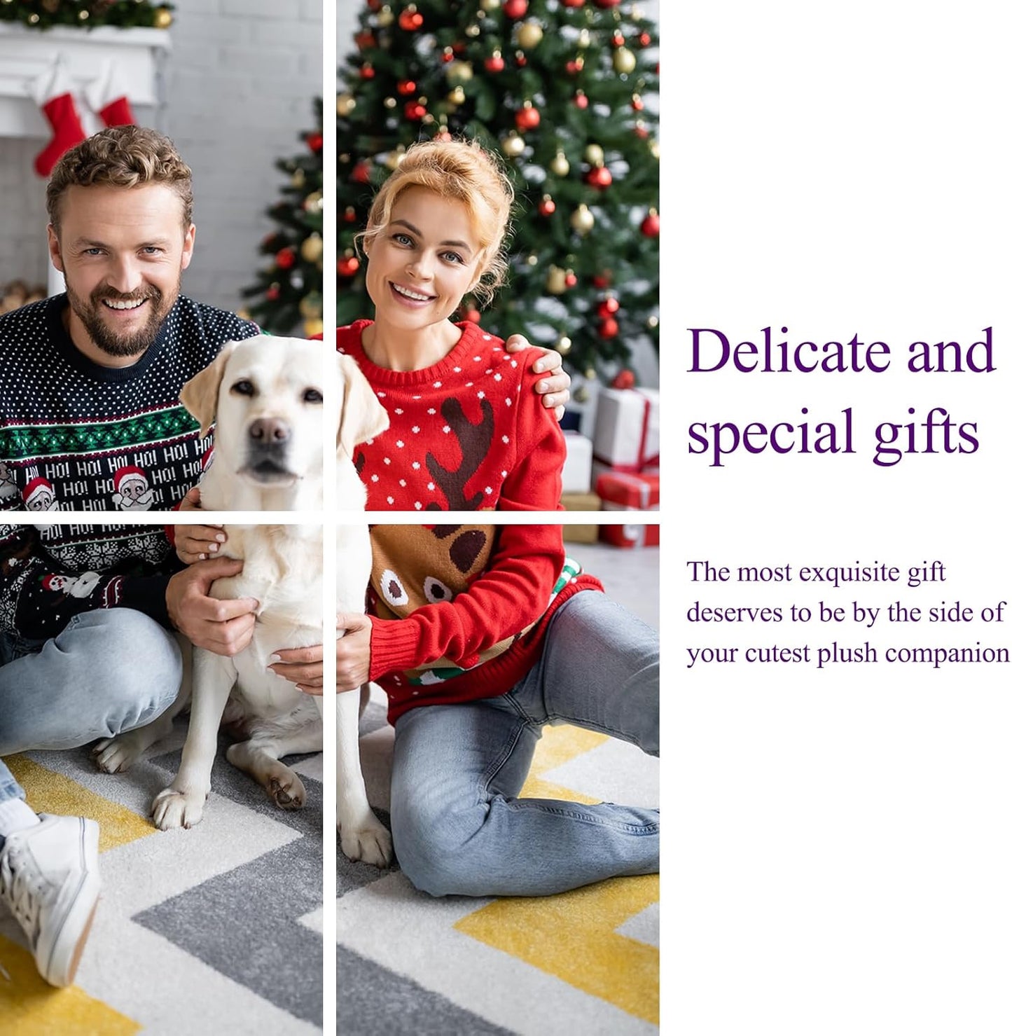 6-Pack Indestructible Dog Toys for Large Breed: Dog Toys for Aggressive Chewers, Nylon Dog Chew Bones for Large Dogs, Dog, Irresistible Beef Flavor