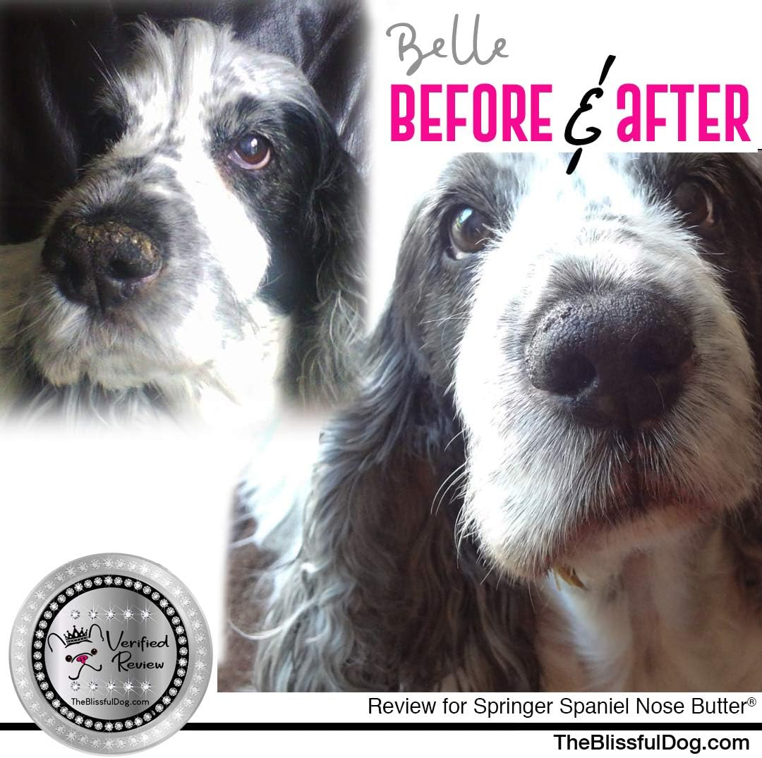 The Blissful Dog Springer Spaniel Unscented Nose Butter, 16oz