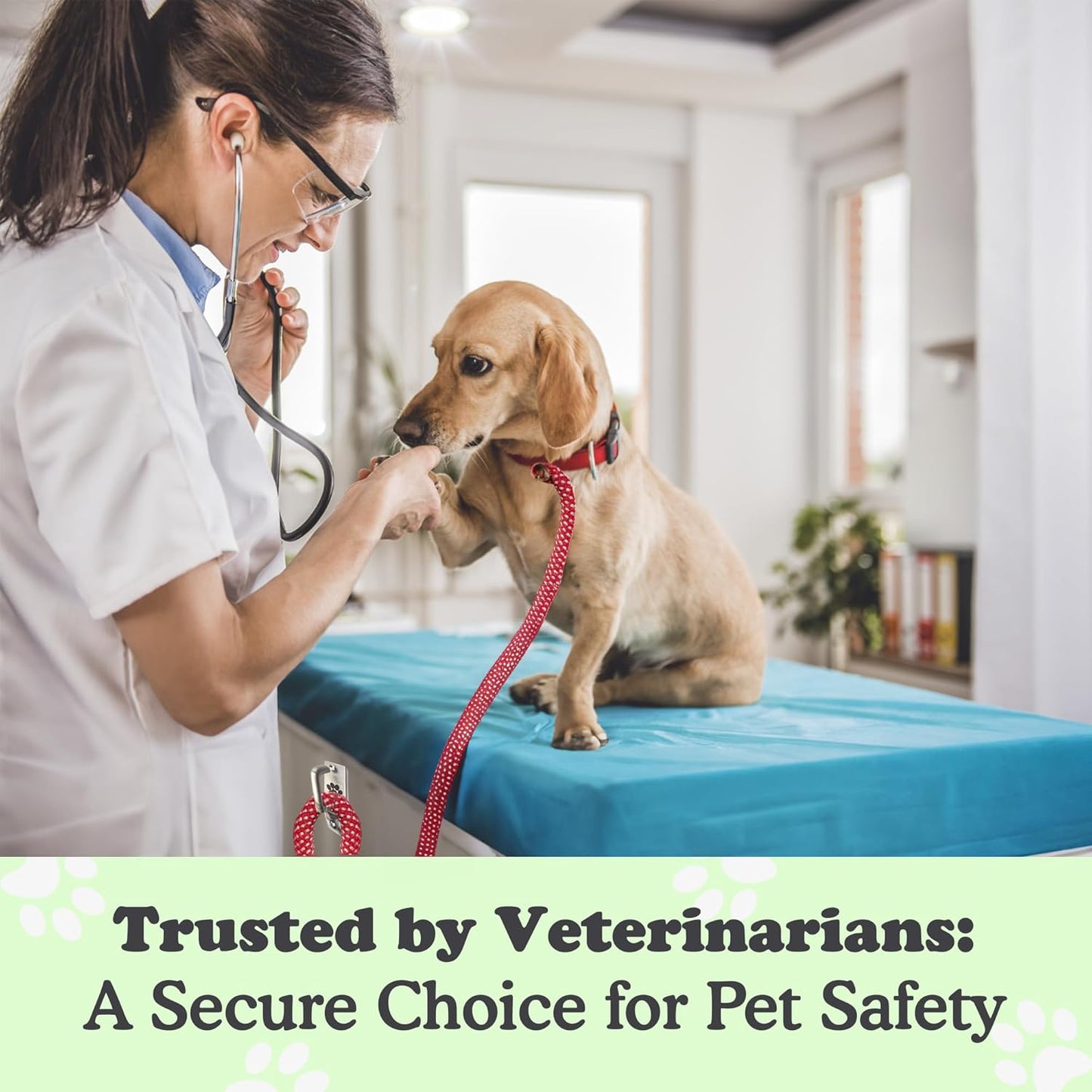 Canine Hitch- Secure Dog Leash Parking Mounted Indoor – Outdoor Wall Hook - Tie Out Stainless Steel Practical Lead Management for Home & Business, Standard Size