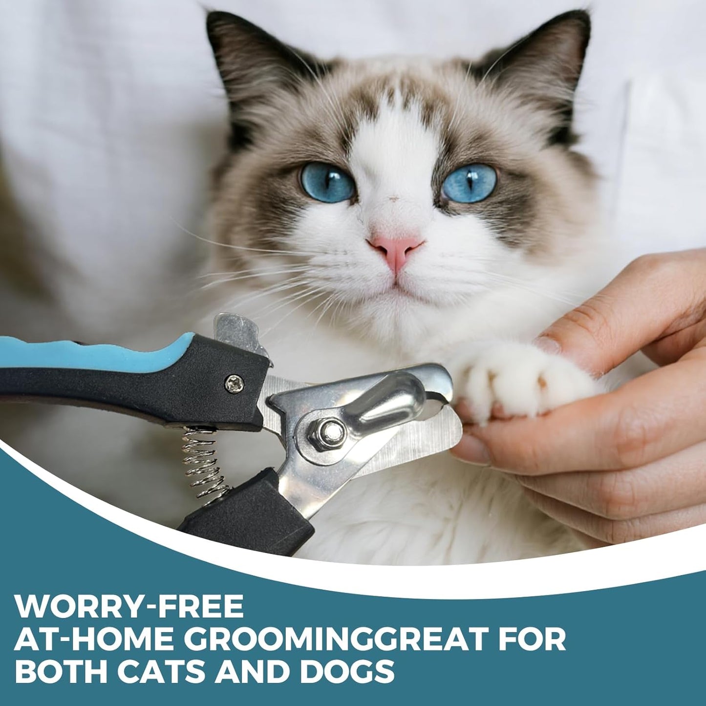 PIPAFFEED Dog Nail Grinder Upgraded with with Dog Nail Trimmers,2 LED Lights, 3-Speed Rechargeable & Quiet - Upgraded Electric Pet Nail Trimmer, Painless Paws Grooming Tool-Bule