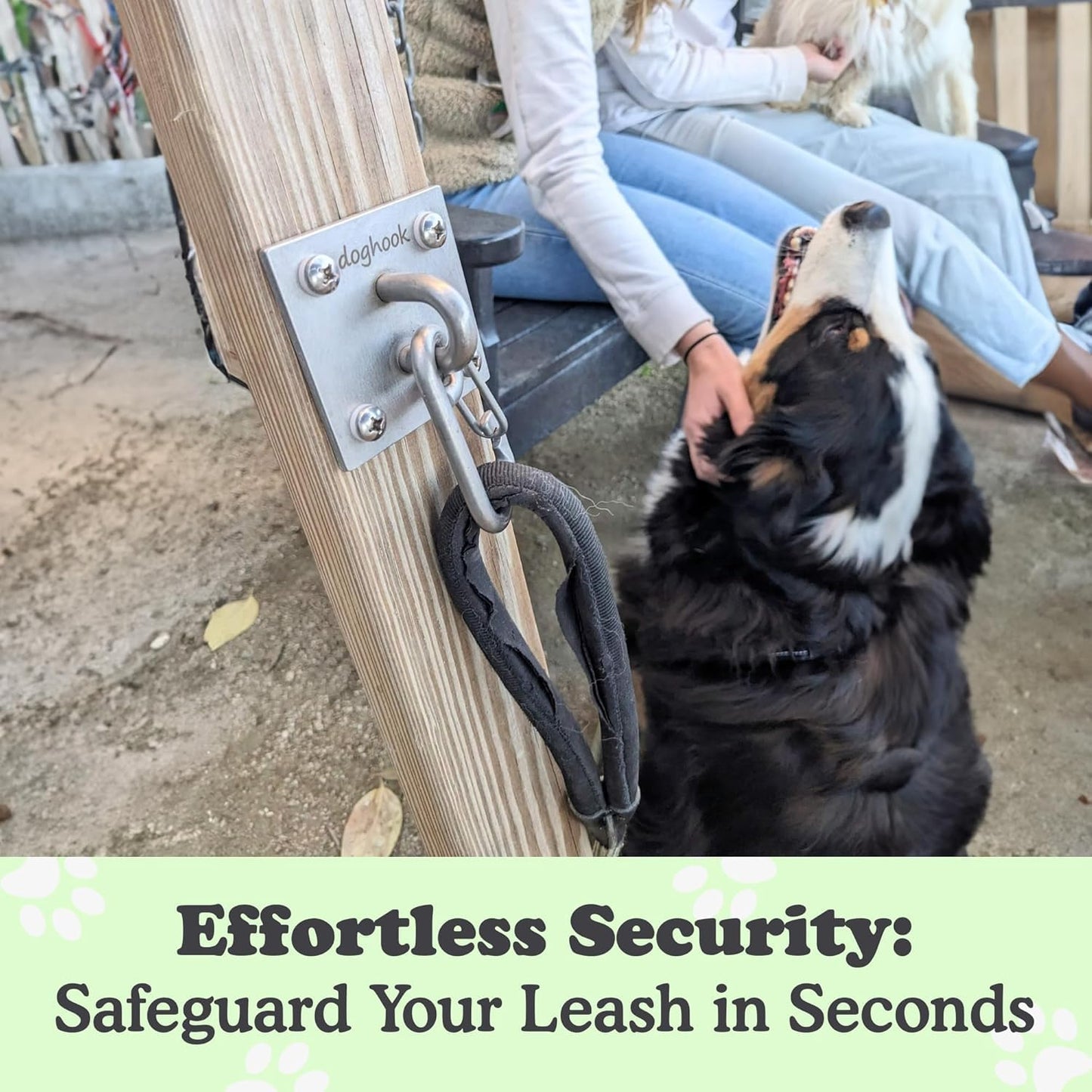 Canine Hitch- Secure Dog Leash Parking Wall Large Hook with Clip 2 Pack - Tie Out Stainless Steel & ABS Mounting Plate for Strength - Practical Lead Management for Home & Business