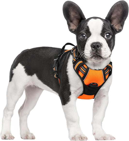 rabbitgoo Dog Harness No Pull with 2 Leash Clips, Adjustable Soft Padded, Reflective Oxford No Choke Pet Vest with Easy Control Handle for Small Dogs,Orange,S