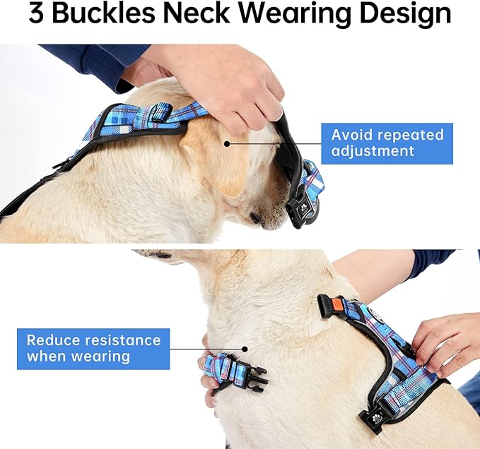 IVY&LANE No Pull Dog Harness with Leash Set, Reflective No Choke Pet Vest,Adjustable Oxford Dog Vest Harness with Easy Control Handle for Large Dogs (Checkered Blue,XL)