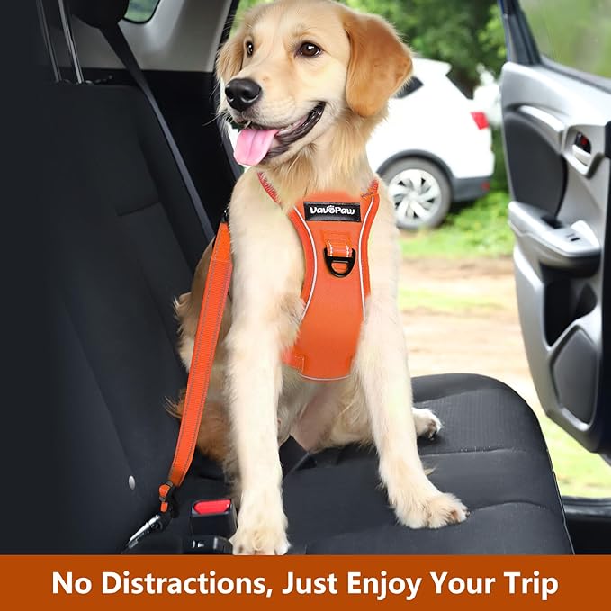 Dog Seat Belt Harness for Car, Dog Car Harness Adjustable Mesh Breathable & Dogs Seatbelt Safety Tether with Elastic Bungee for Small Medium Large Pets(Orange, M)