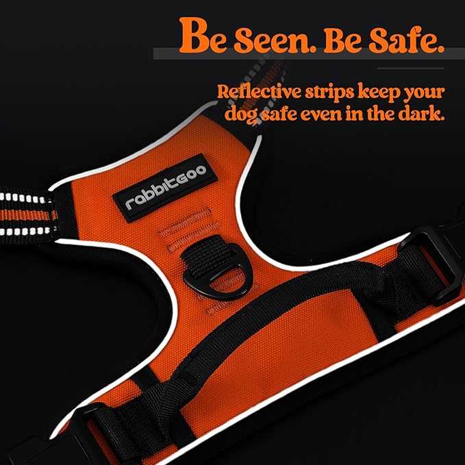 rabbitgoo Dog Harness No Pull with 2 Leash Clips, Adjustable Soft Padded, Reflective Oxford No Choke Pet Vest with Easy Control Handle for Large Dogs,Orange,L
