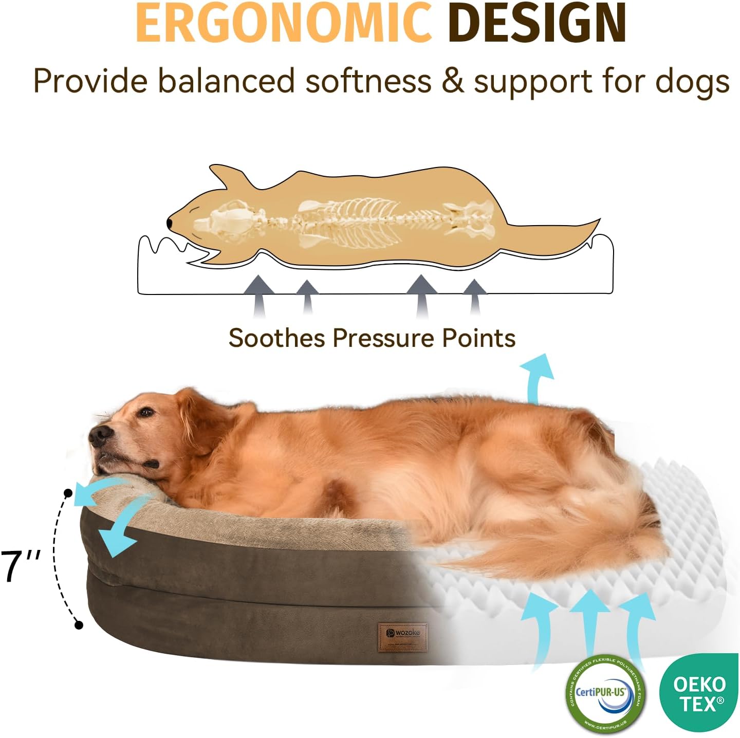 Orthopedic Waterproof Large Dog Bed: Memory Foam Washable Dog Bed with Bolsters - Removable Orthopedic Cover for Medium L XL Large Sized Pet - Non-Slip Bottom - Coffee