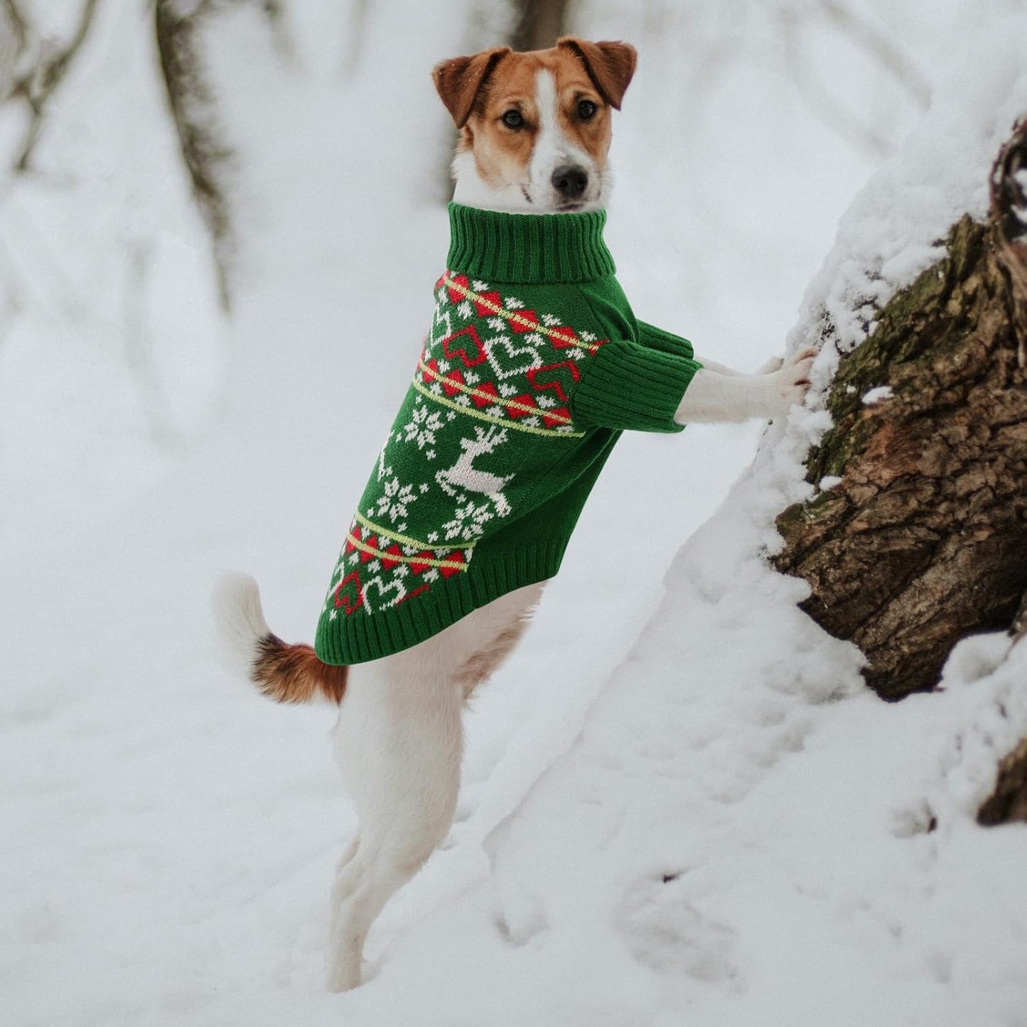 Queenmore Dog Christmas Sweater,Turtleneck Knitted Pullover Xmas Dog Clothes Sweatshirt,Pet Christmas Outfit, Warm Doggy Sweaters for Small Dogs Boy Girl L