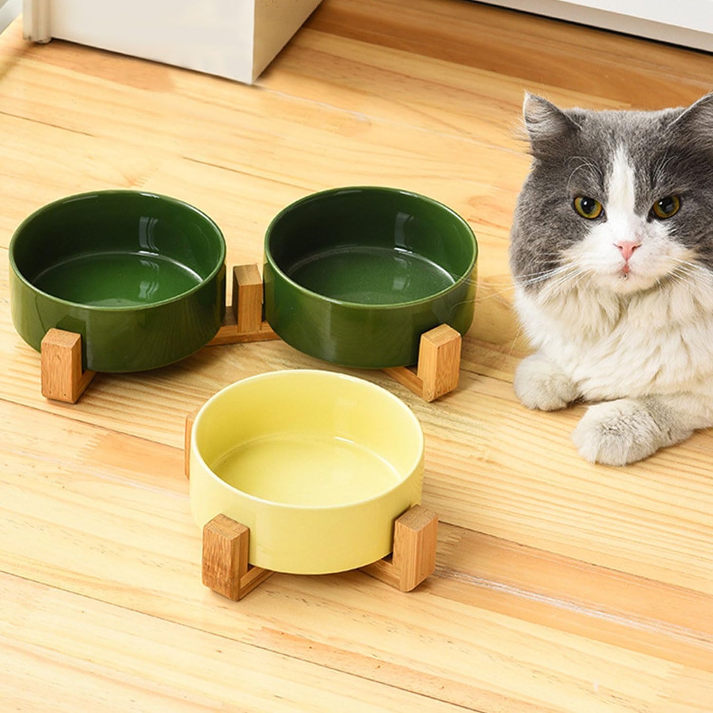 Petygooing Ceramic Dog Cat Bowl Set with Stand, Pet Food and Water Dishes,Medium Pet Bowl Anti -Slip Set of 2 Cat Dish-Pet Food Bowls Small Medium Size Dog (28OZ/6.1 in) Rust Green