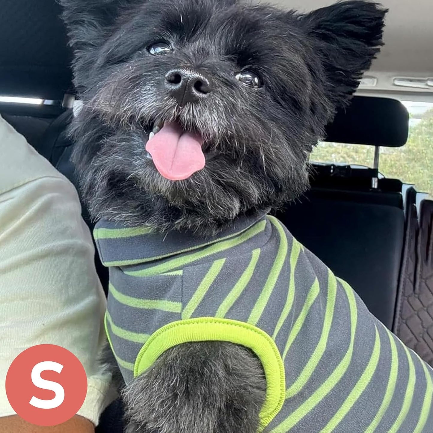 KYEESE 2Pack Dog Sweater Stretchy Dogs Clothes Dog Sweaters for Small Dogs Male Soft Dachshund Clothes Warm Pet Coats Turtleneck Small Pet Sweaters Pullover Pets Sweatshirt