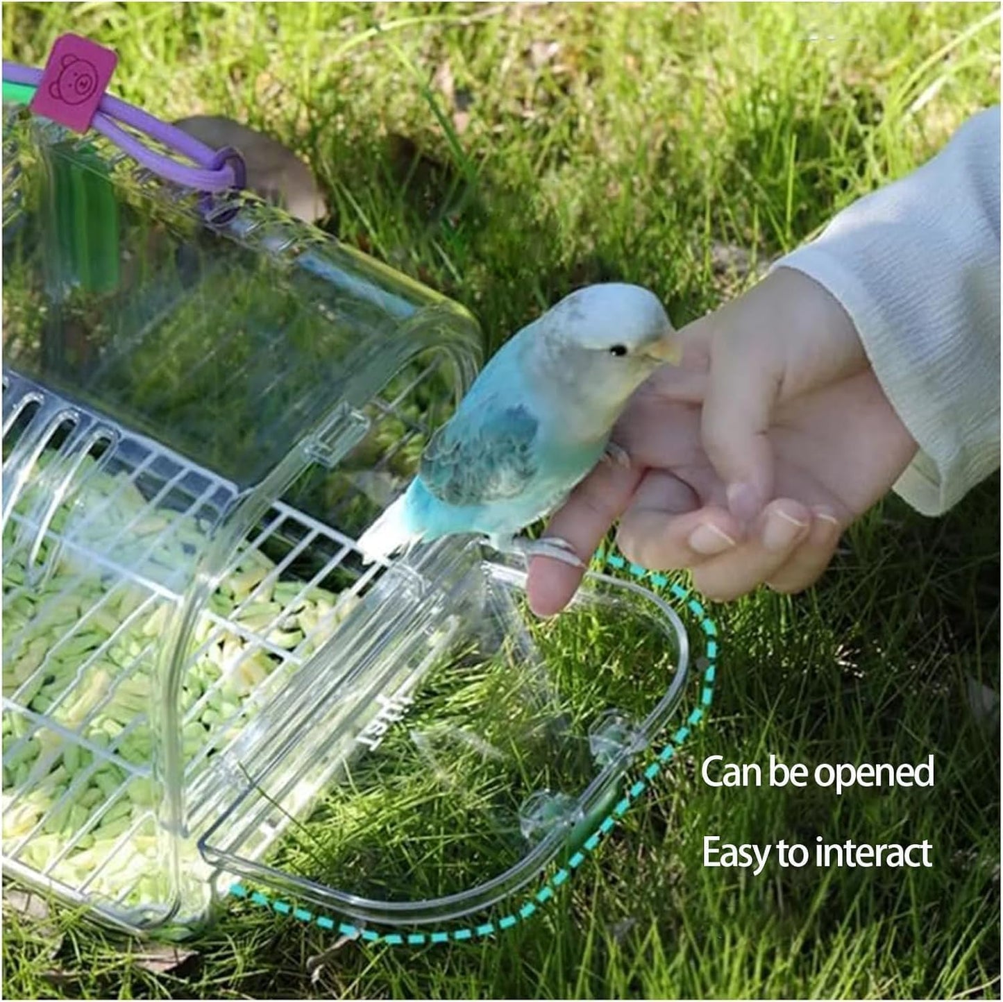 Small Bird Travel Cage Carrier,Portable Plastic Bird Cages,Portable Bird Carrier with Clear Acrylic Design, Travel Cage with Cover, Indoor Outdoor Use (Purple)