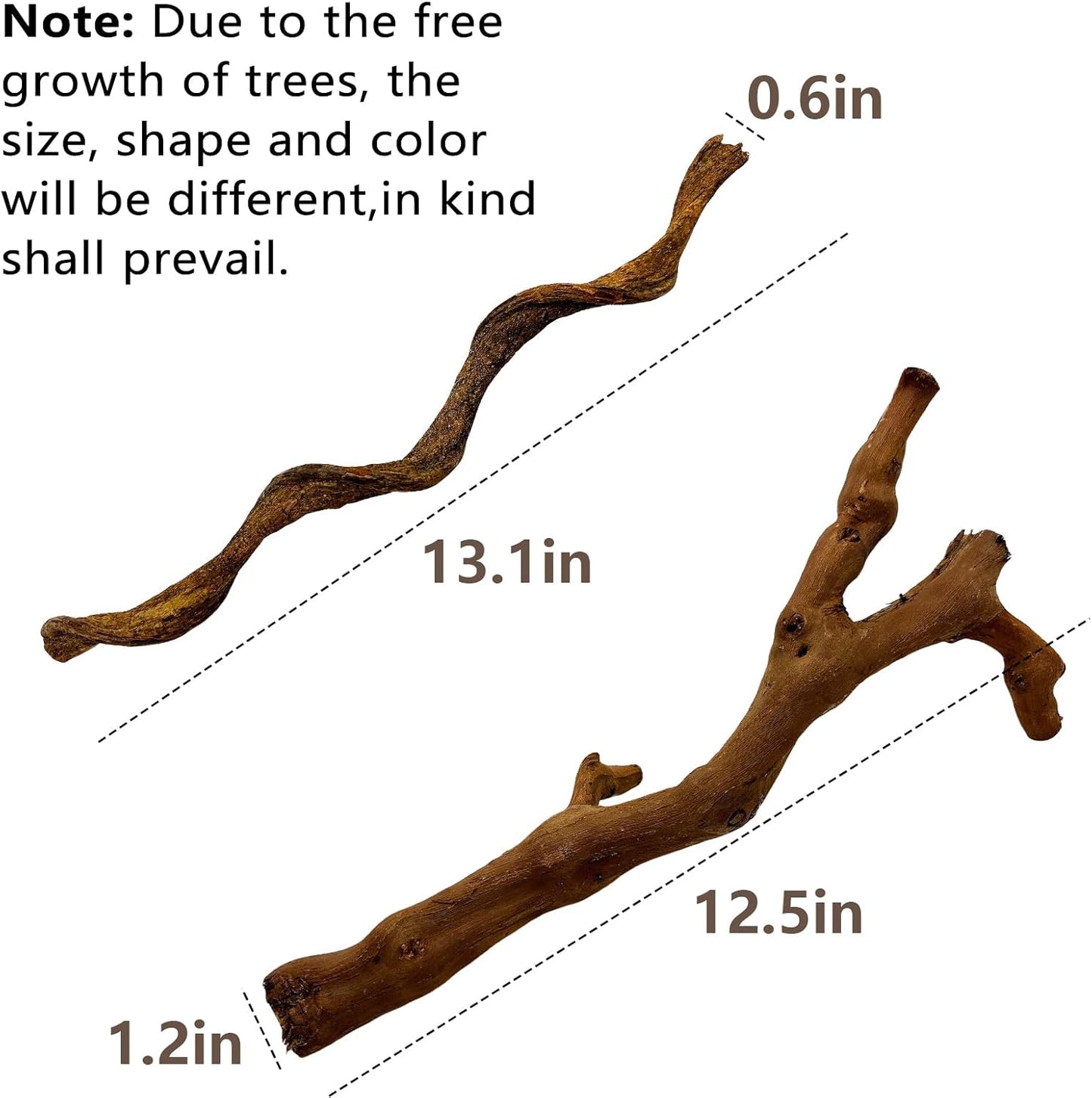 BNOSDM 2PCS Reptile Wood Branches, Snake Climbing Branch, Bearded Dragon Climbing Accessories, Lizard Habitat Decor, Terrarium Tree Trunk Ornament for Gecko Frog Chameleon Spider