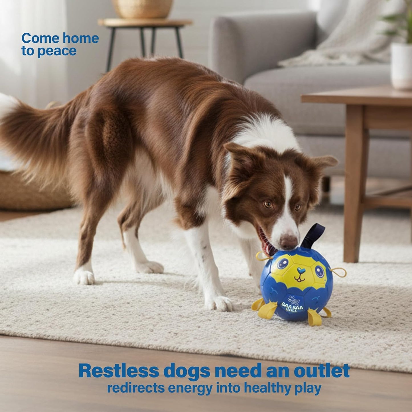 Race&Herd 8" Jolly Soccer Ball for Dogs - Tough Durable Dog Ball Toy with Straps, Pet Bouncy Herding Balls for Dogs, Floating Dog Balls with Tags for Water Fetch (BaaBaaBall, BaaBaa Sheep)