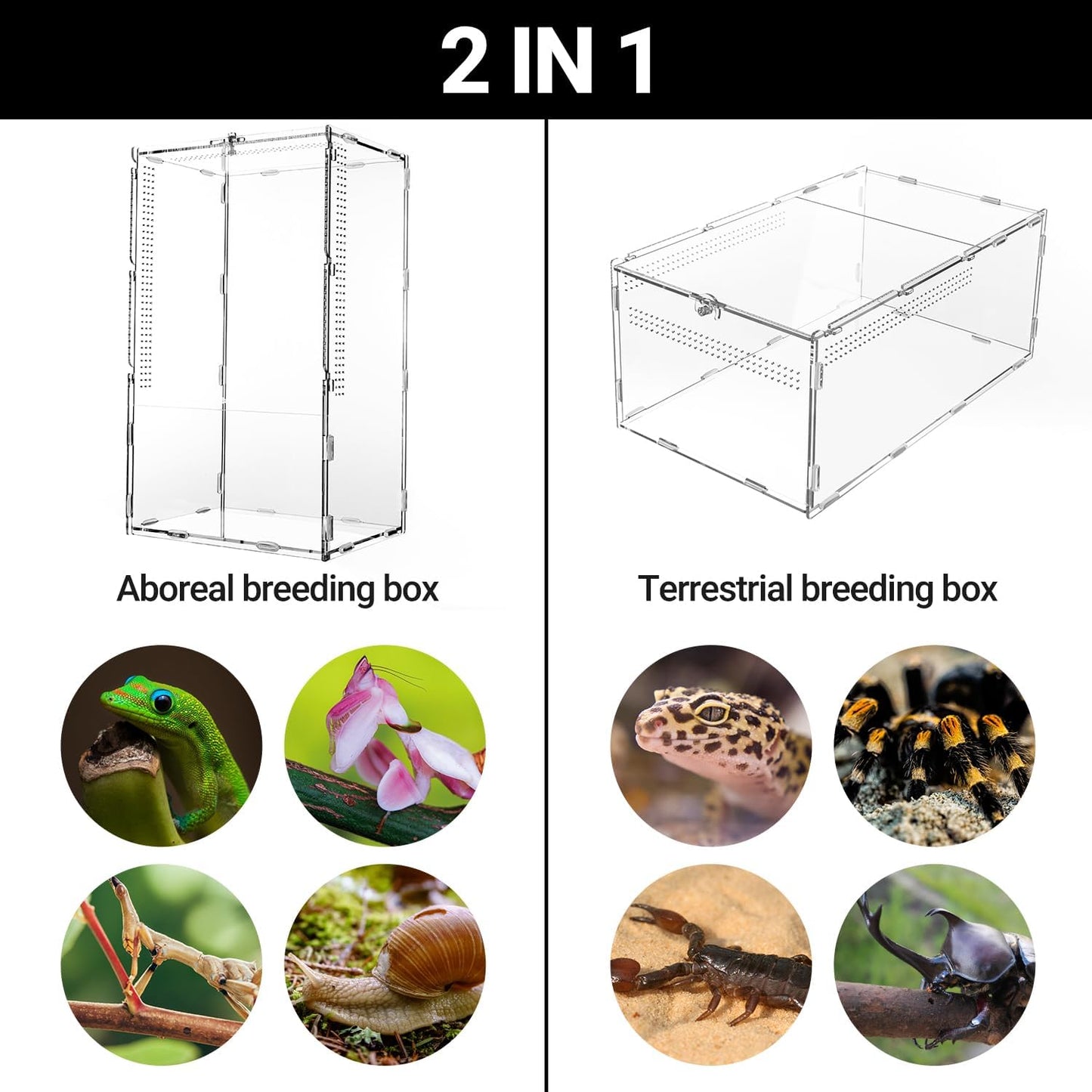 REPTI ZOO Large Tarantula Enclosure Spider Enclosure 14" X 8" X 6", 2 in 1 Acrylic Aboreal Breeding Box for Mantis Snail or Terrestrial Breeding Box for Cricket Jumping Spiders Tarantula