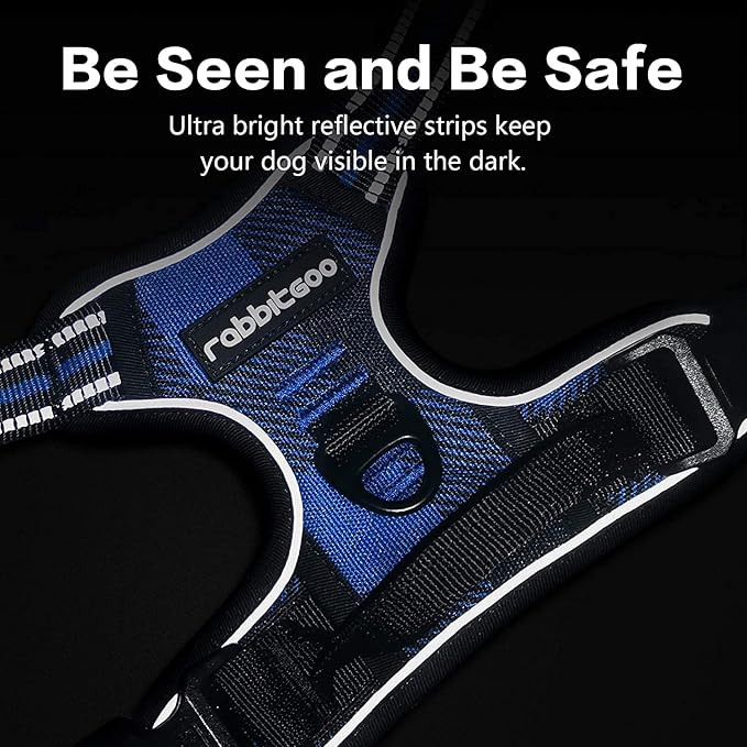 rabbitgoo Dog Harness No-Pull, Comfortable Padded Plaid Harness with Handle Easy Control, Adjustable Reflective Pet Vest with 2 Leash Clips for Small Dog, Blue Plaid, S