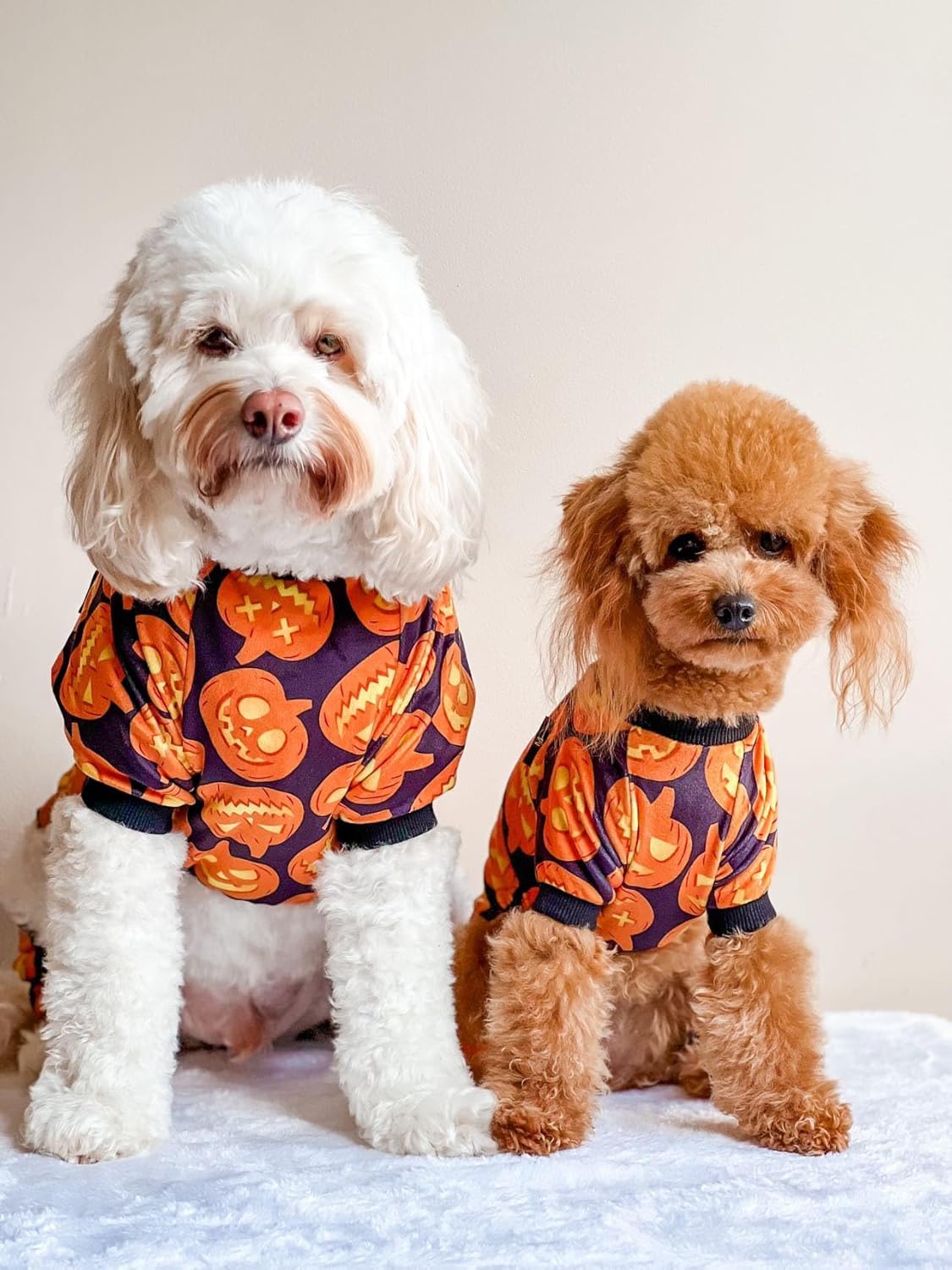 Fitwarm Halloween Pumpkin Dog Pajamas, Funny Dog Winter Clothes for Small Dogs Girl Boy, Pet Jumpsuit, Cat Halloween Costumes with Feet, Lightweight Velvet, Black, Orange, XXL