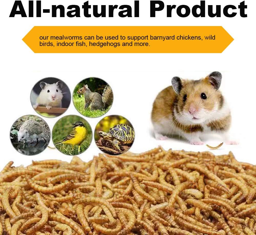 Bulk Dried Mealworms, High-Protein Dried Mealworms 44Lbs, 100% Non-GMO Mealworm Treats for Birds, Chickens, Turtles, Fish, Hamsters and Hedgehogs All Natural Animal Feed