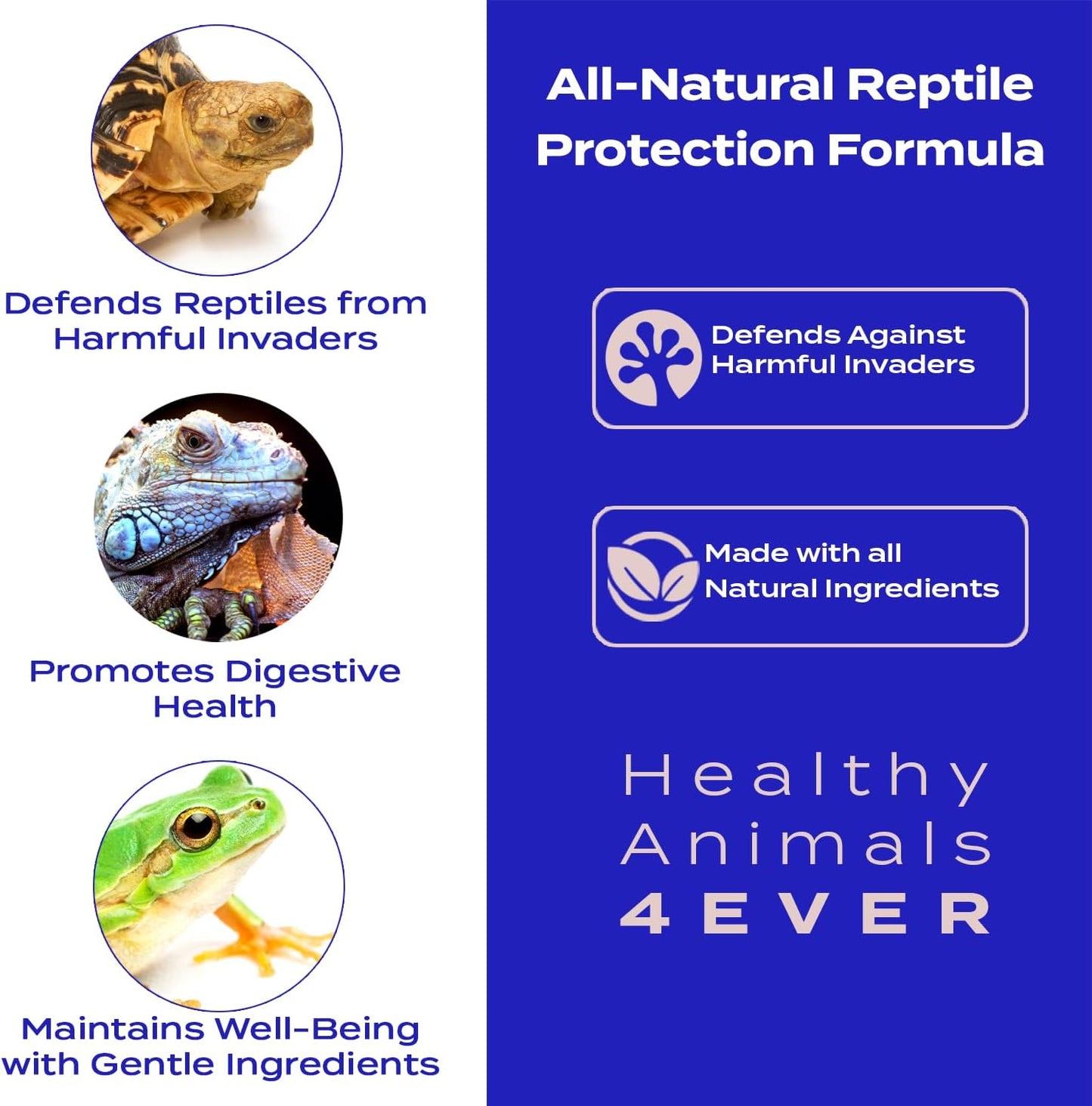 HA4E - Reptile Protection Formula - Defends Against Internal & External Health Threats - Supports Digestive Health & Vitality - Safe, Gentle Care - 300 Tablets