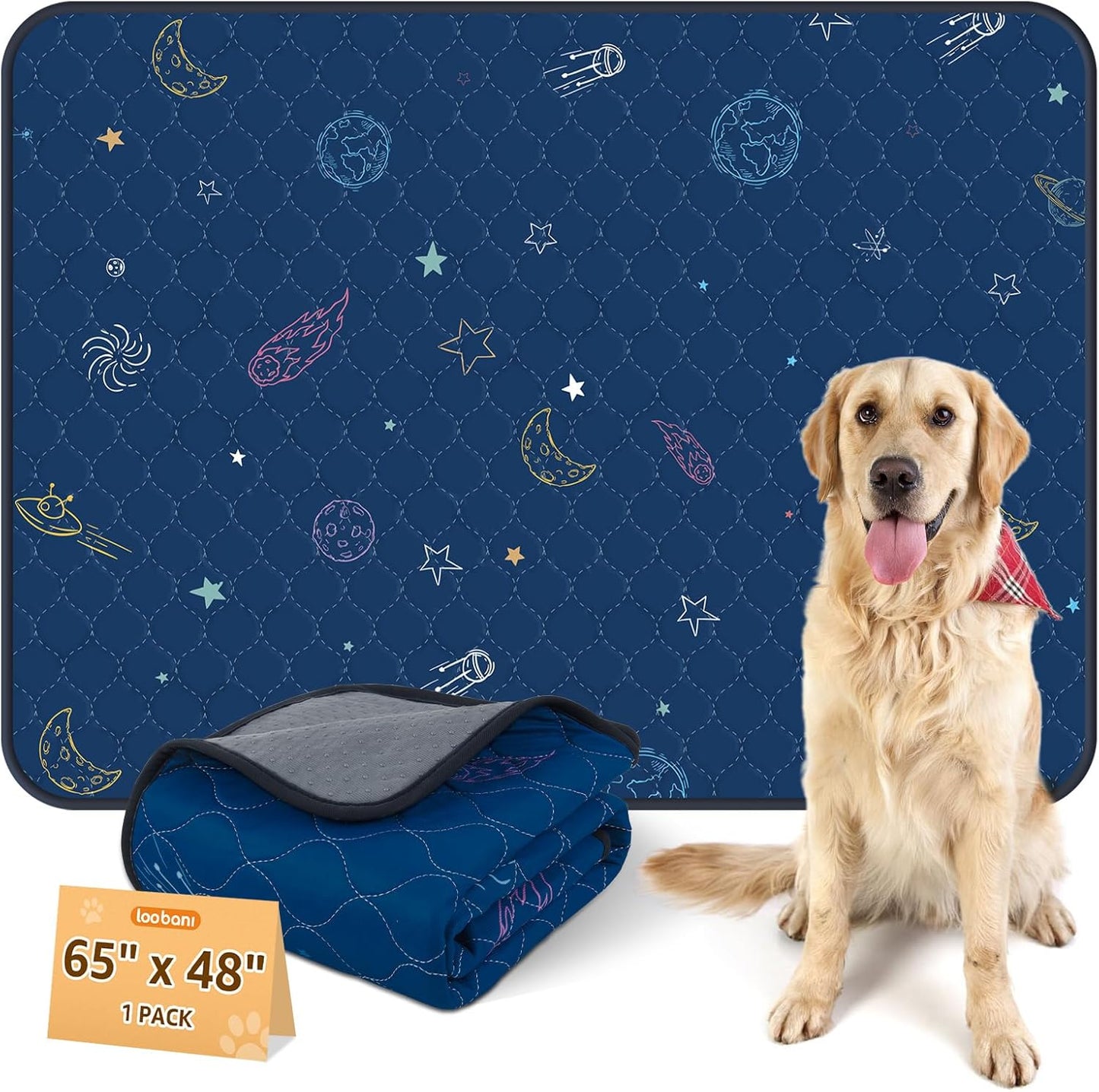 LOOBANI Washable Pee Pads for Dogs: Extra Large Dog Pee Mat Waterproof 65" x 48", Reusable Pet Whelping Pads, Absorbent and Non-Slip Dog Training Mats for Playpen, Floor, Sofa Protection, Cage, Blue