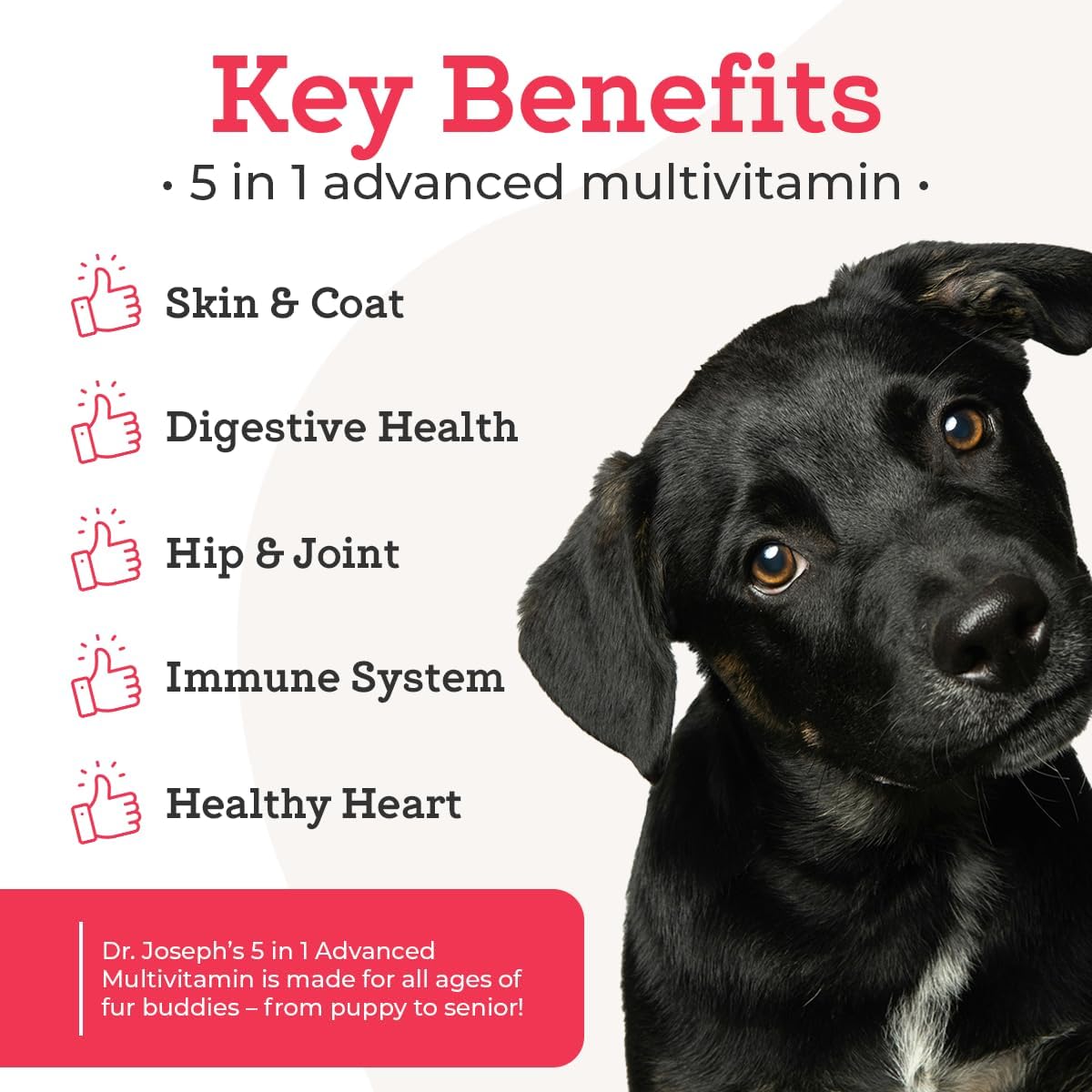 Dr. Joseph's VetPro Complete Multivitamin Dog Supplement, 120 Count (Large Dog 60 Day Supply), 5in1 Chew with Vitamins, Enzymes & Nutrients, Hip & Joint Health, Immune System & Allergy Support