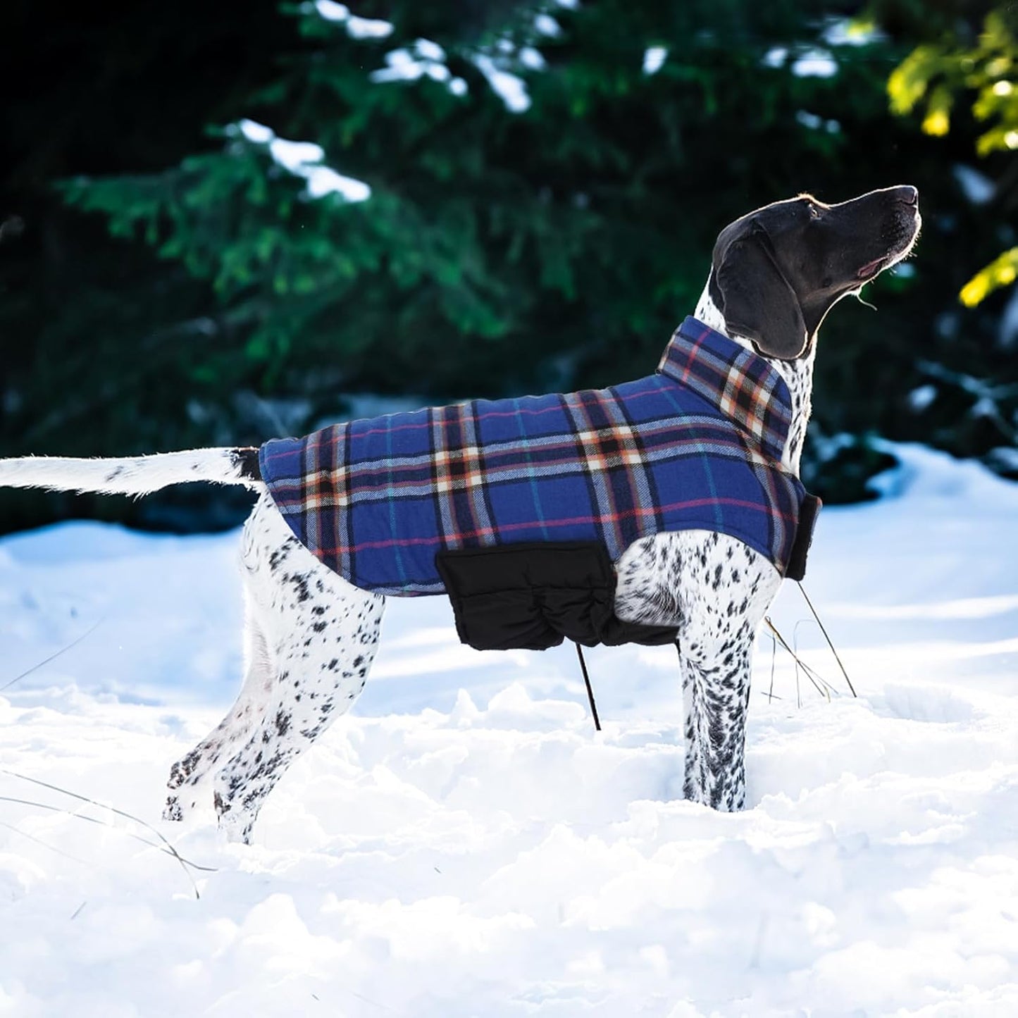 Kuoser Warm Dog Coat, Waterproof Dog Jacket for Extra Large Dogs, Adjustable Durable XL Doggie Winter Coat Reversible Cozy Puppy Cold Weather Apparel from Small to Large Breed, Navy XL